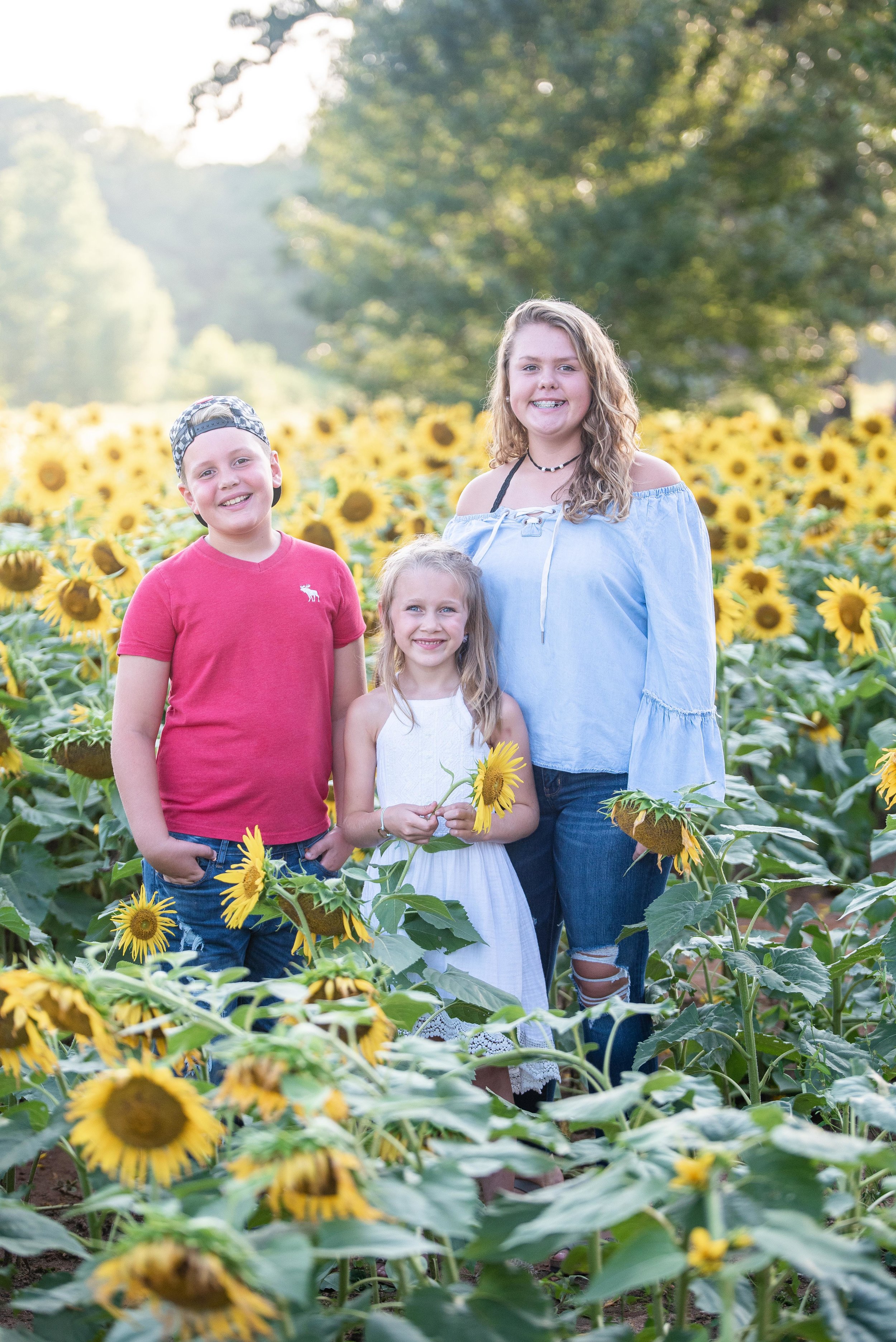 Dogwood Farm - Sunflower Field Photography Session - Sunflower Family Portraits - Fall Family Portraits - Summer Family Portraits - NC Photographer - NC Wedding Photographer - High Point Wedding Photographer -3.jpg