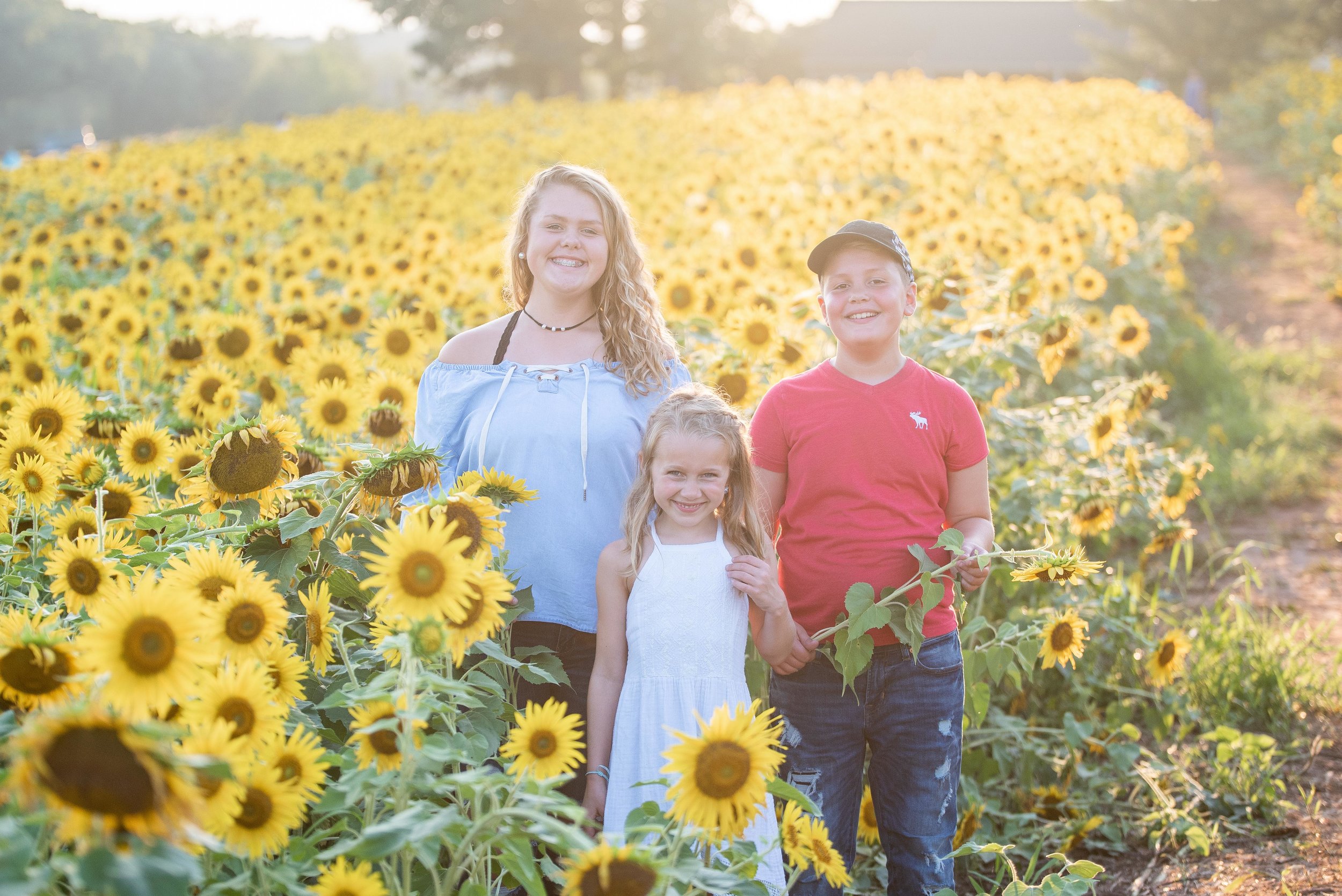 Dogwood Farm - Sunflower Field Photography Session - Sunflower Family Portraits - Fall Family Portraits - Summer Family Portraits - NC Photographer - NC Wedding Photographer - High Point Wedding Photographer -10.jpg