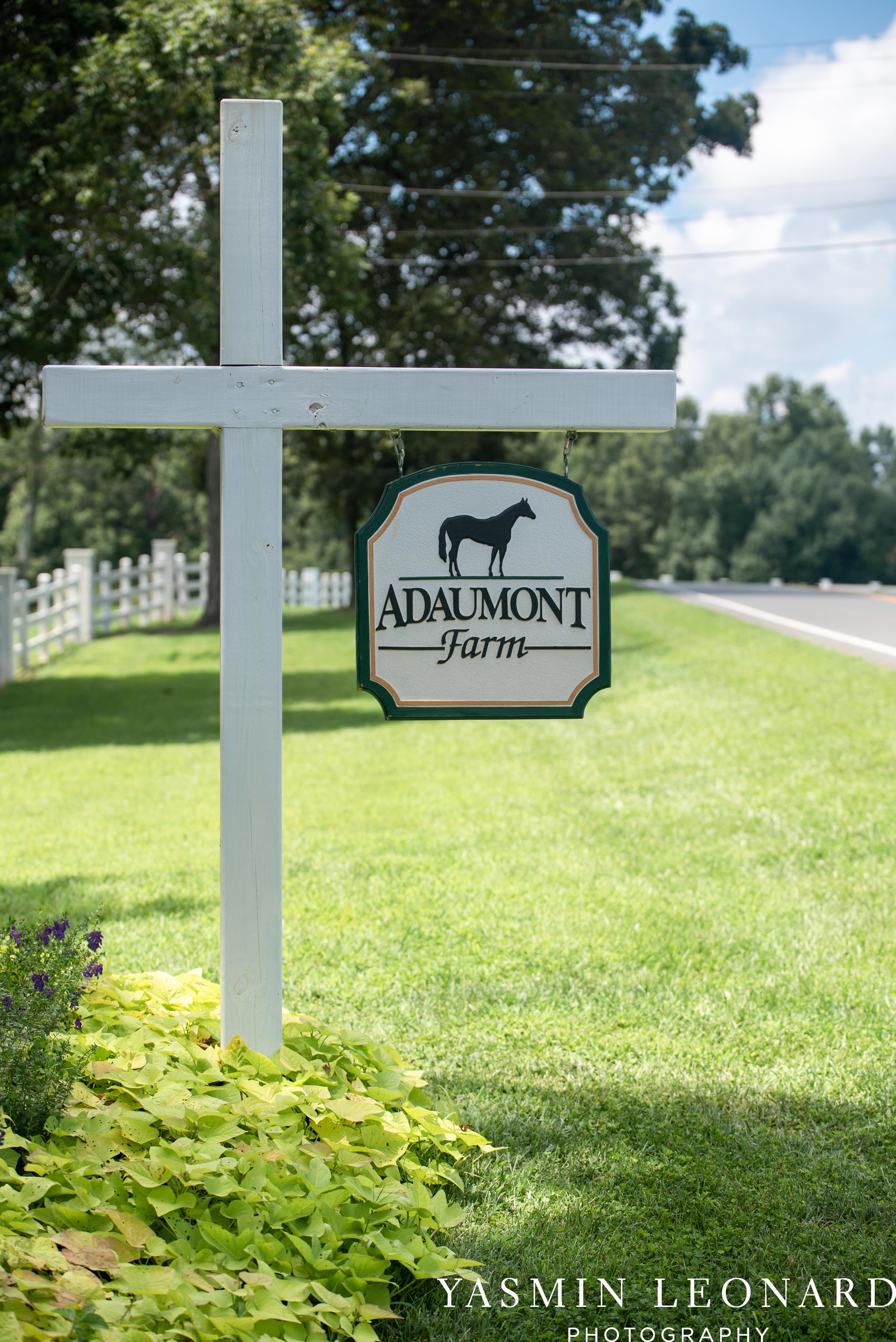 Adaumont Farm - Adaumont Farm Wedding - NC Wedding Venue - Triad Wedding Venue - Winston Salem Wedding Venue - NC Photographer - Yasmin Leonard Photography-1.jpg