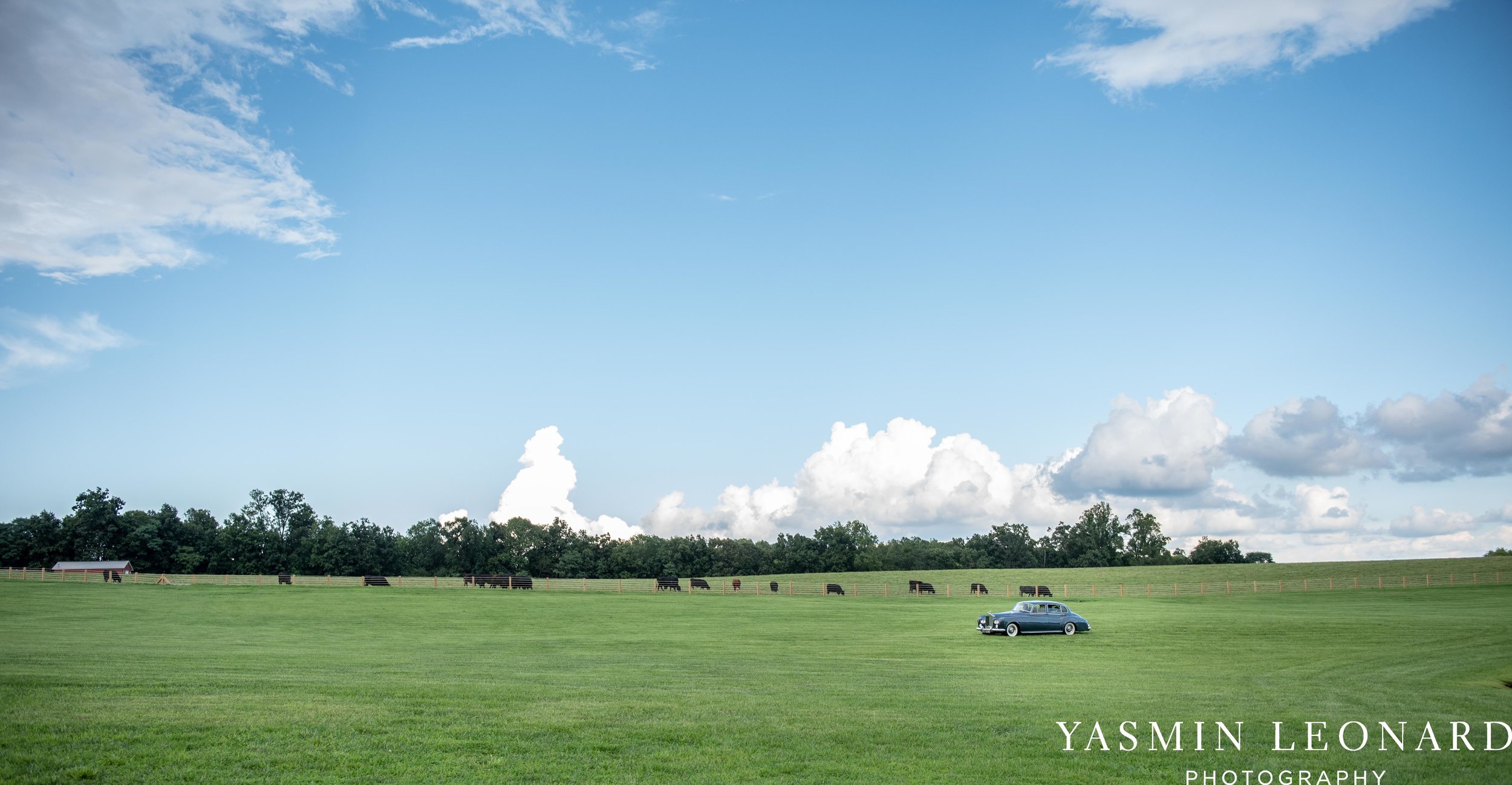 Adaumont Farm - Adaumont Farm Wedding - NC Wedding Venue - Triad Wedding Venue - Winston Salem Wedding Venue - NC Photographer - Yasmin Leonard Photography-36.jpg