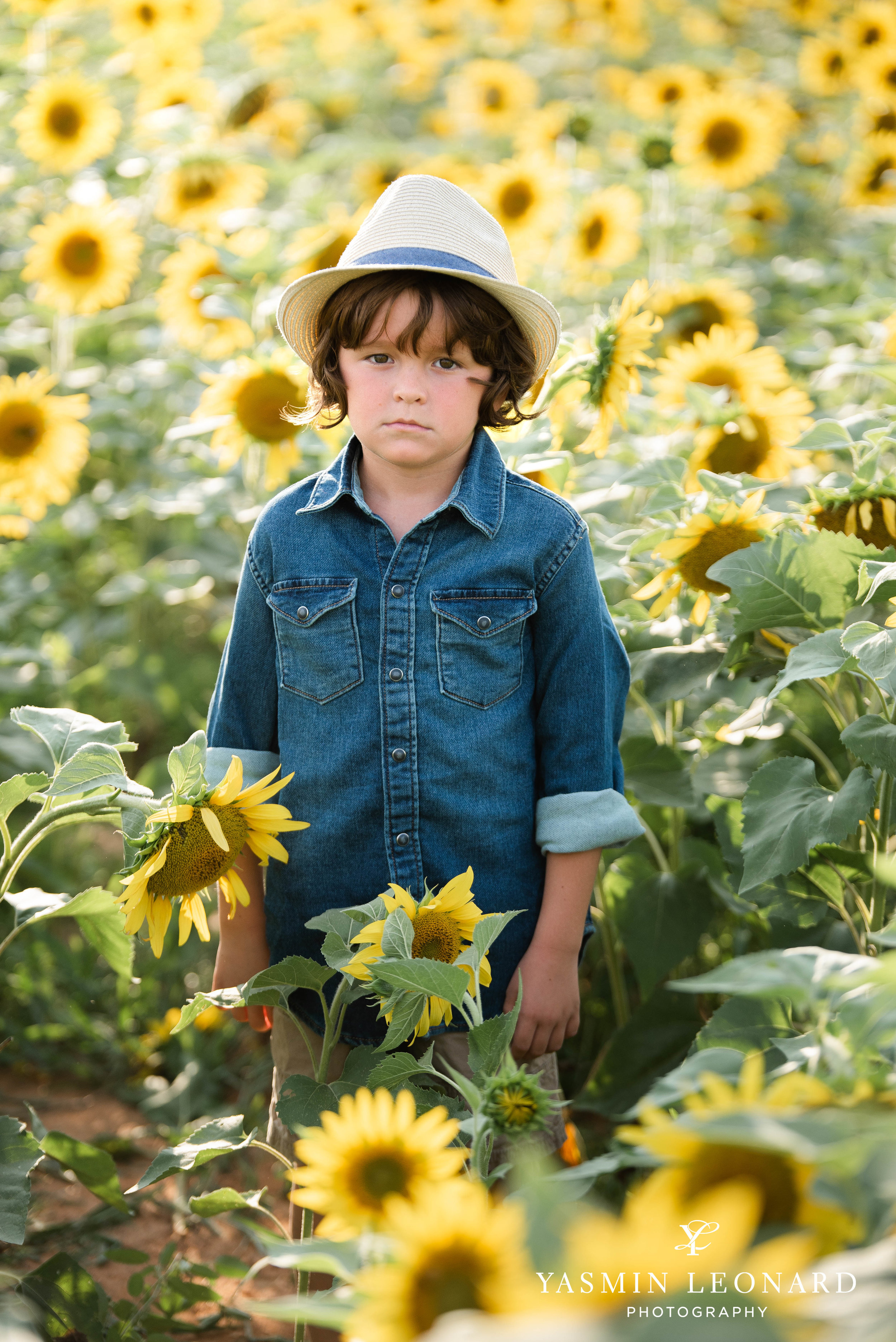 Sunflower Mini Session - Dogwood Farms - Sunflower Field - Boys in Sunflower Field - What to wear sunflower field - Yasmin Leonard Photography-1.jpg