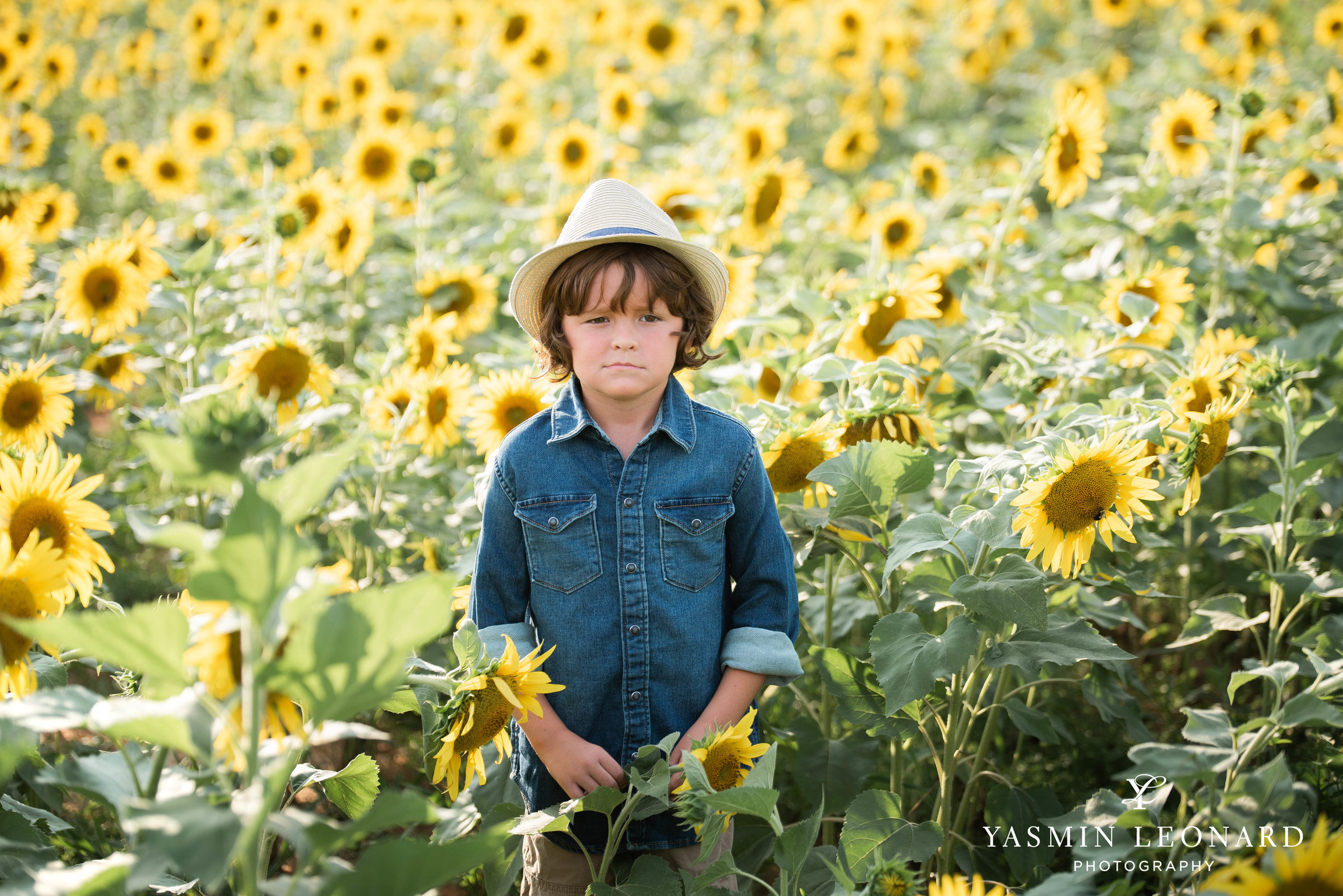 Sunflower Mini Session - Dogwood Farms - Sunflower Field - Boys in Sunflower Field - What to wear sunflower field - Yasmin Leonard Photography-3.jpg
