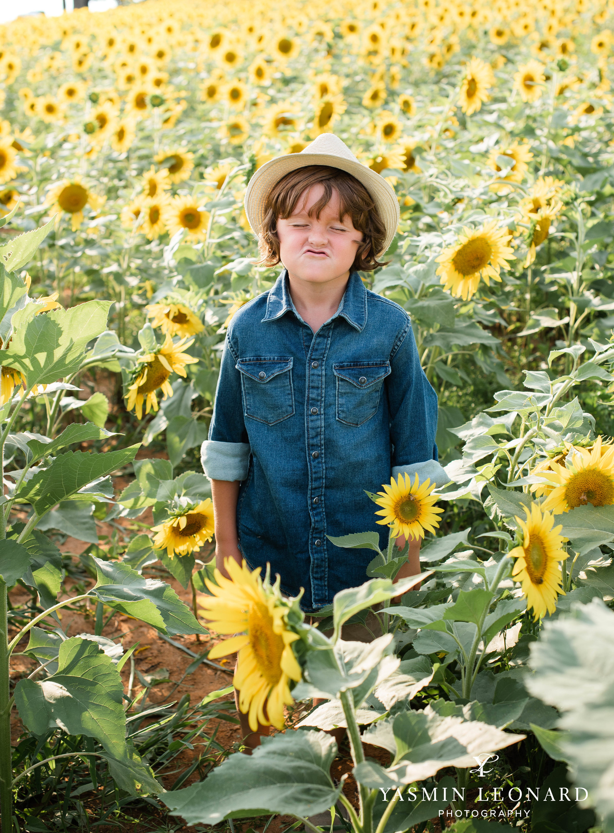 Sunflower Mini Session - Dogwood Farms - Sunflower Field - Boys in Sunflower Field - What to wear sunflower field - Yasmin Leonard Photography-4.jpg