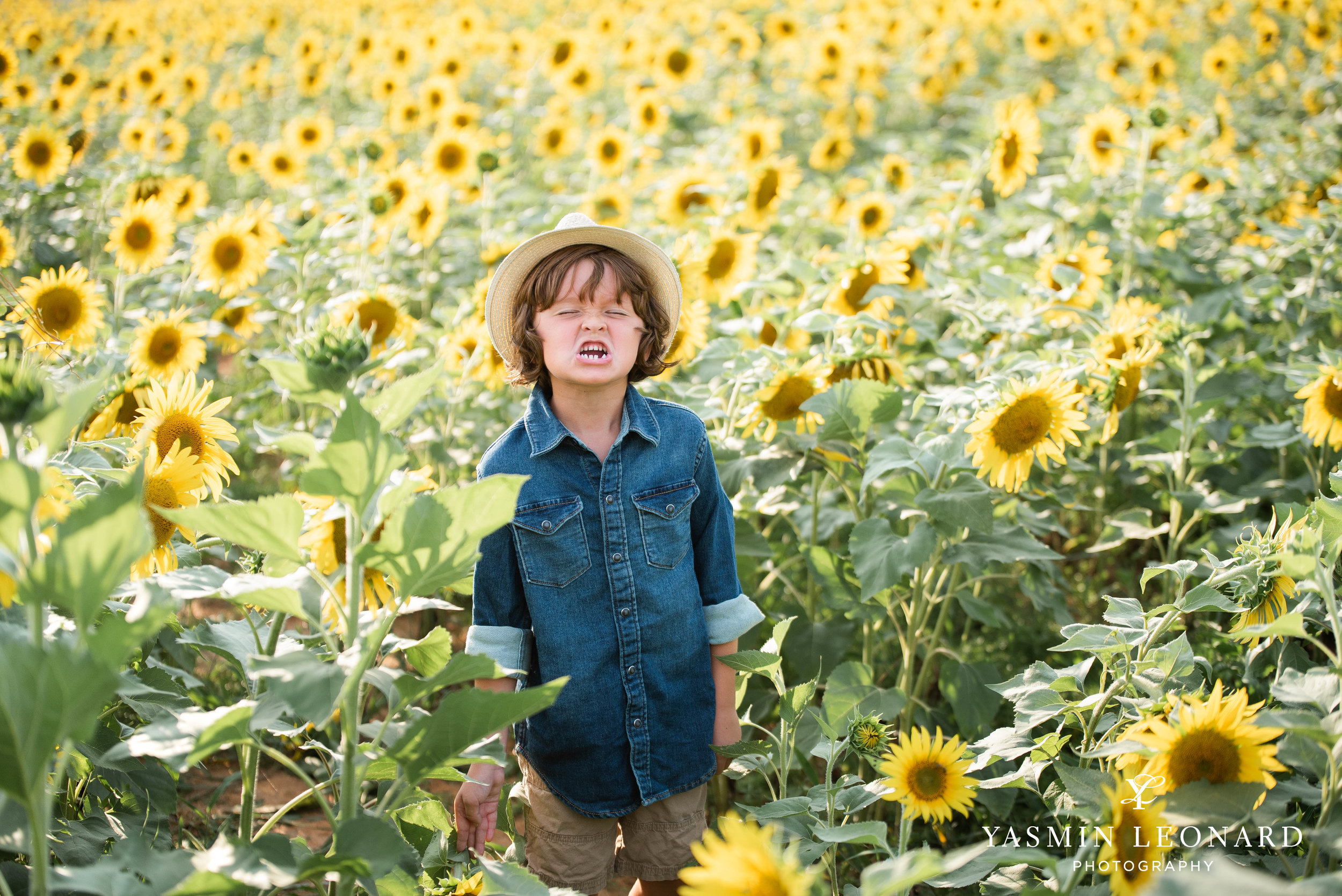 Sunflower Mini Session - Dogwood Farms - Sunflower Field - Boys in Sunflower Field - What to wear sunflower field - Yasmin Leonard Photography-5.jpg