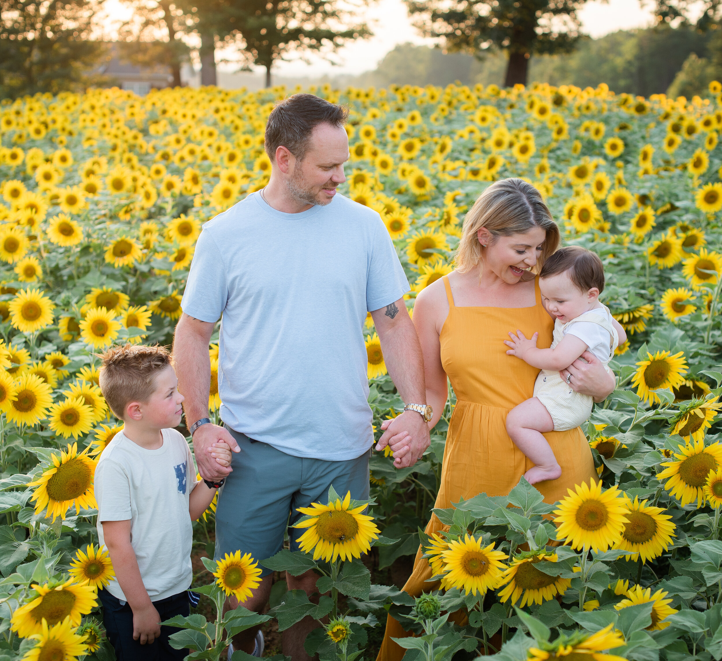 Nelson - Sunflower Mini - YLP - August 2019-5.jpg