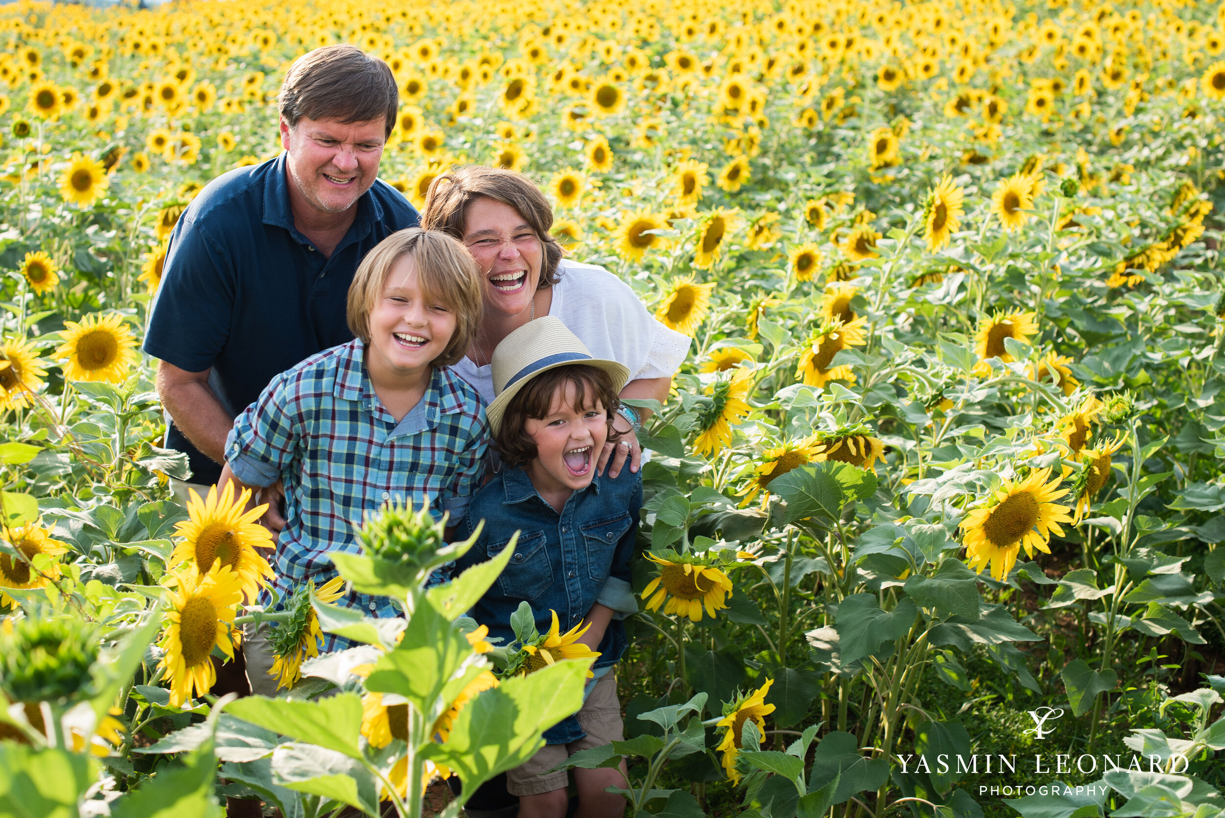 Sunflower Mini Session - Dogwood Farms - Rhodes Family-1.jpg