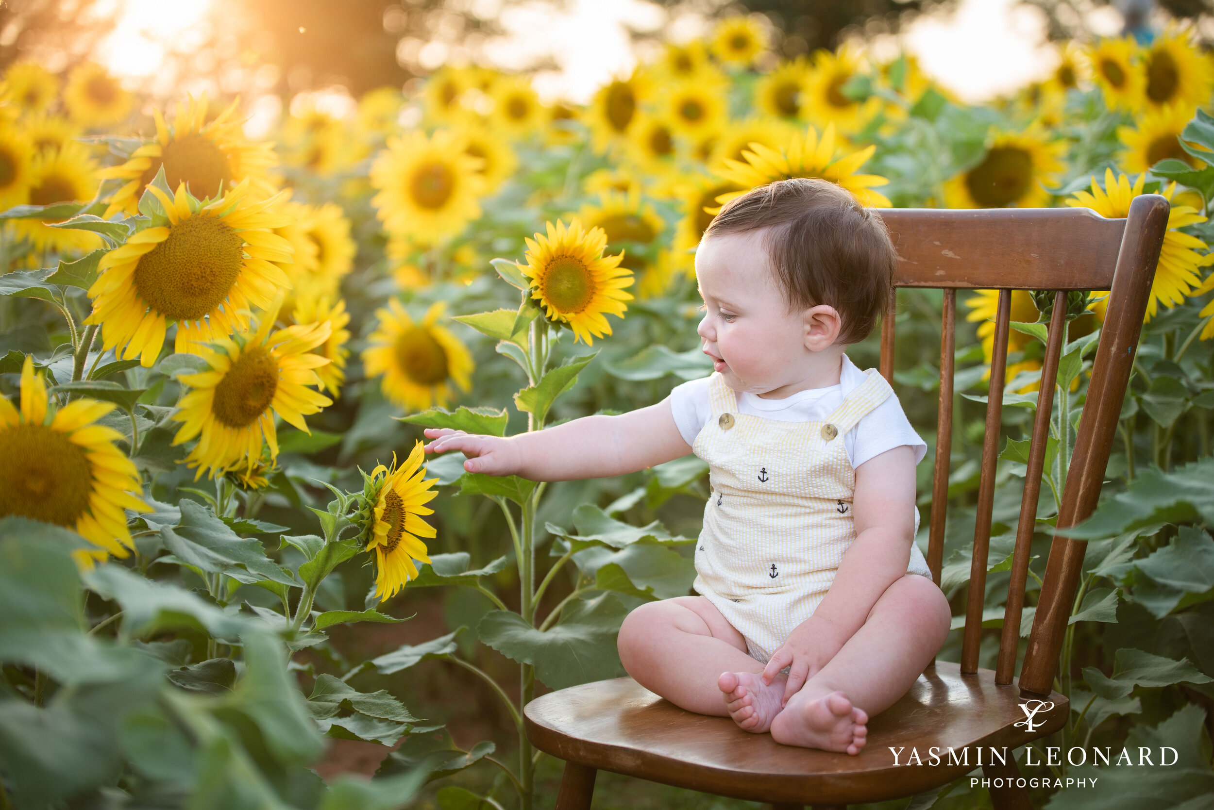 Sunflower Mini Session - Dogwood Farms - Rhodes Family-11.jpg