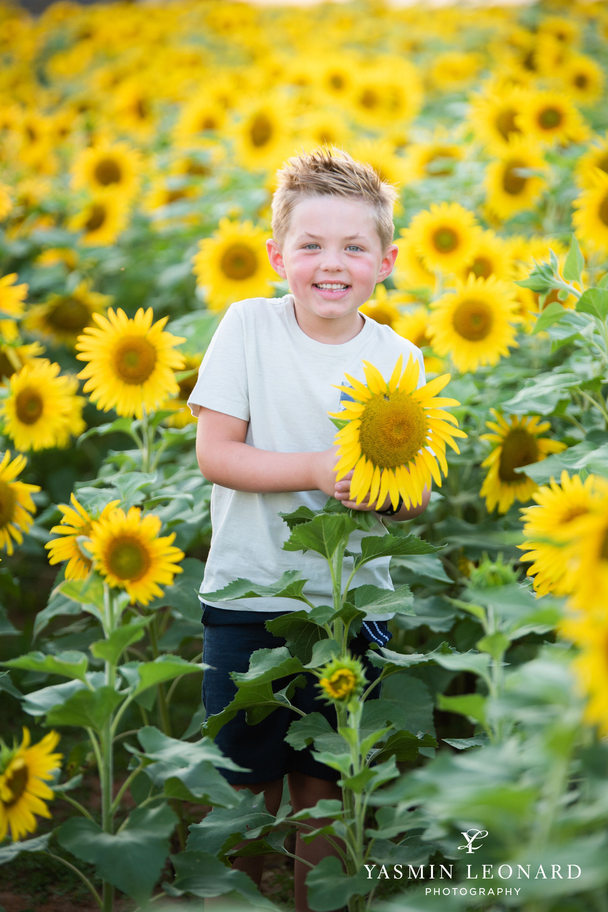 Sunflower Mini Session - Dogwood Farms - Rhodes Family-12.jpg