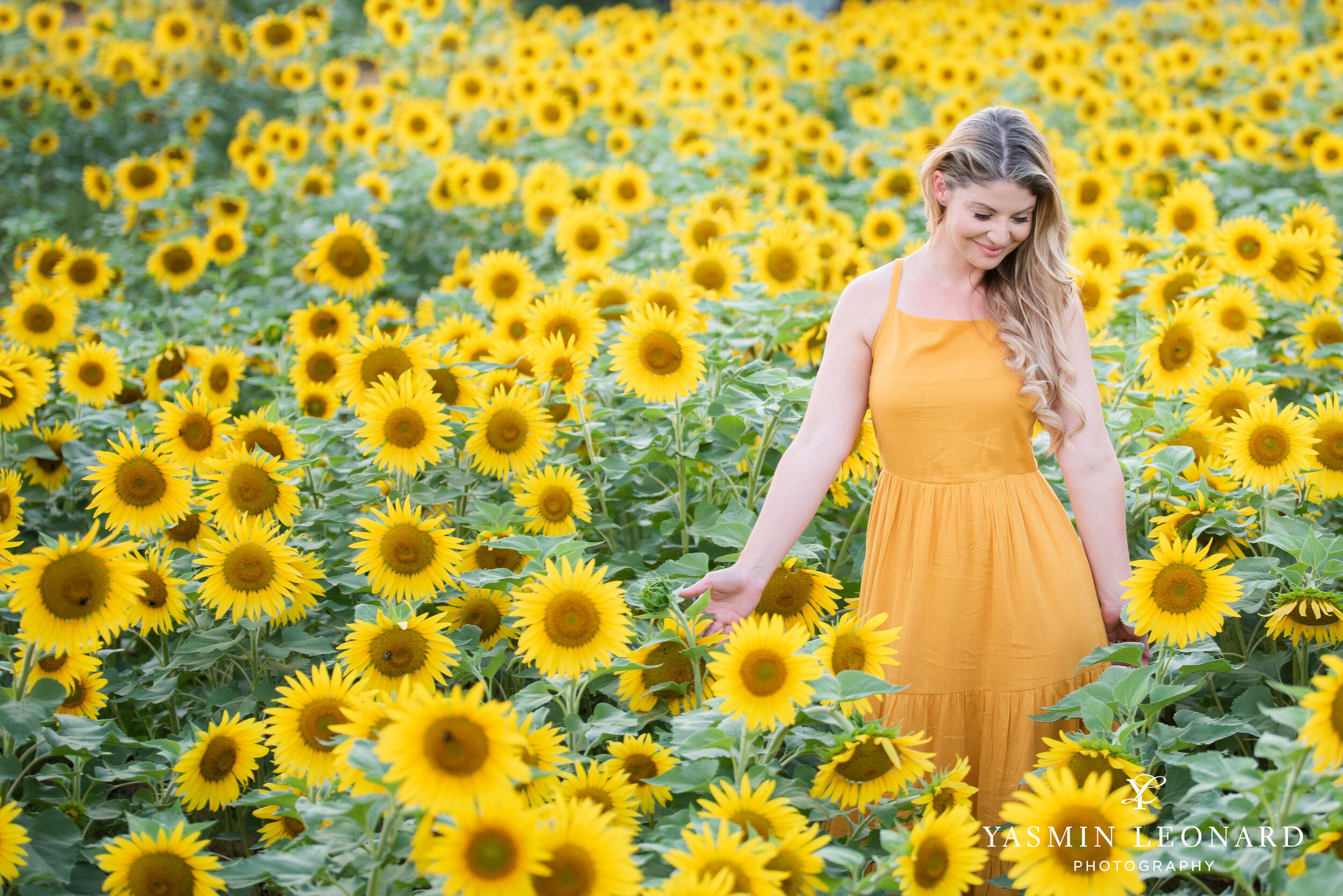 Sunflower Mini Session - Dogwood Farms - Rhodes Family-13.jpg