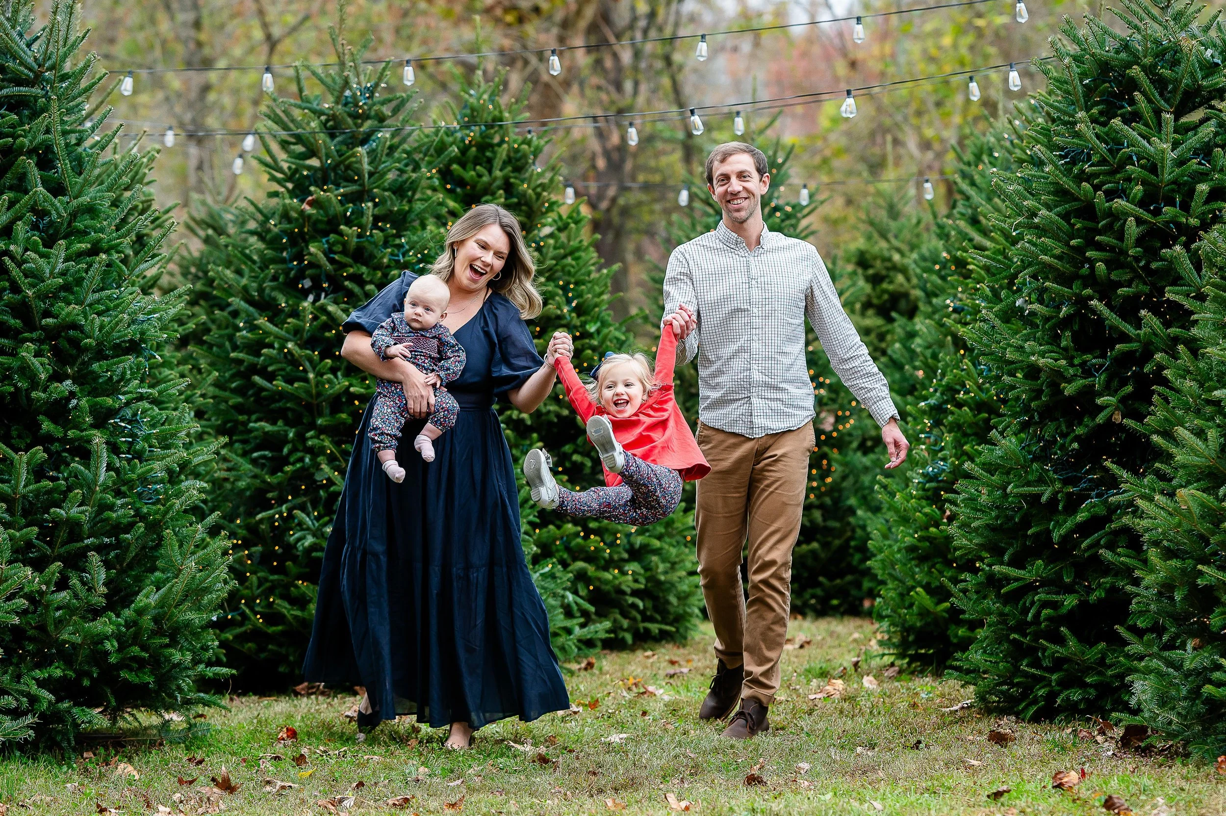 Christmas Tree Ad Photos -1.jpg