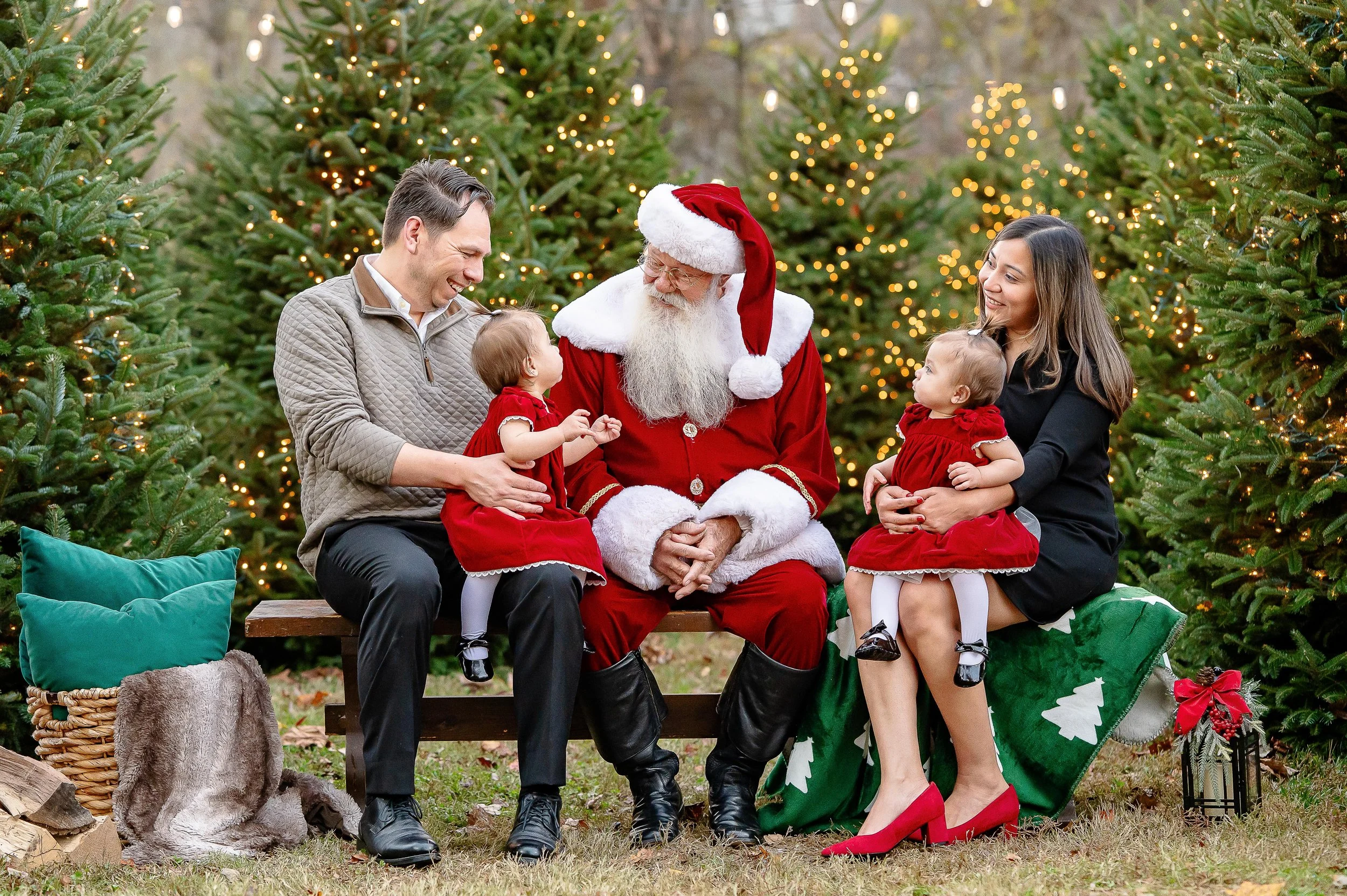 Christmas Tree Ad Photos -4.jpg