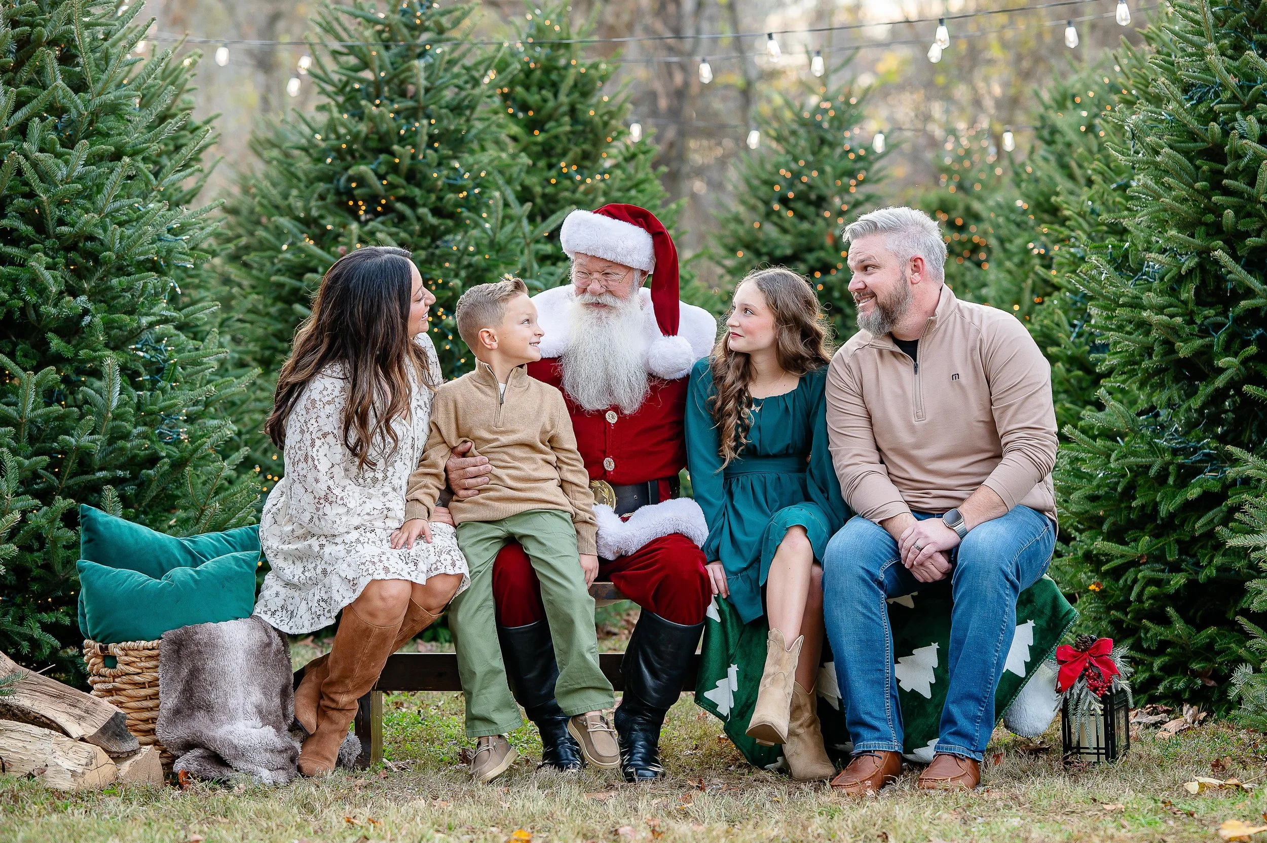 Christmas Tree Ad Photos -6.jpg