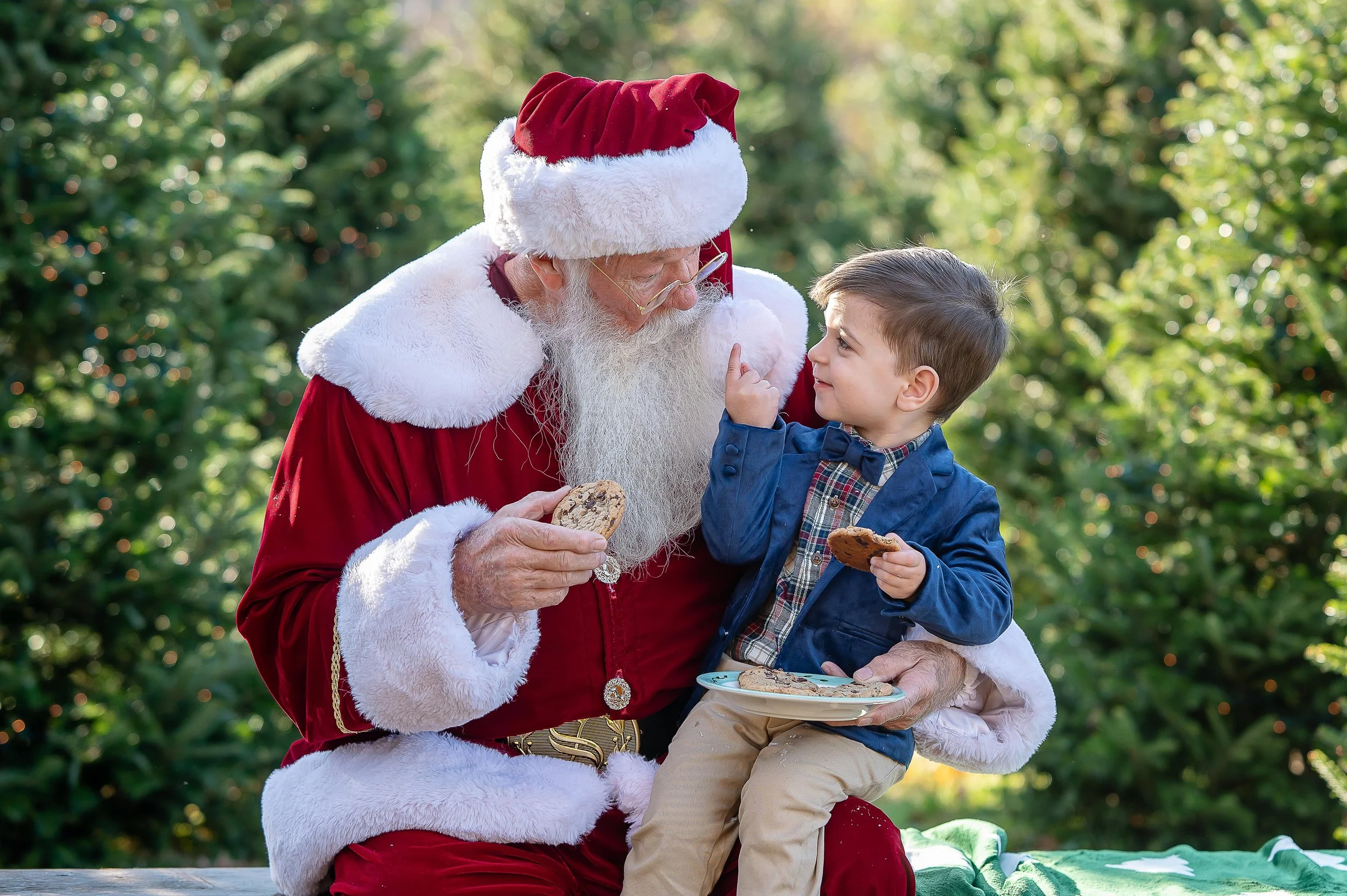 Christmas Tree Ad Photos -7.jpg
