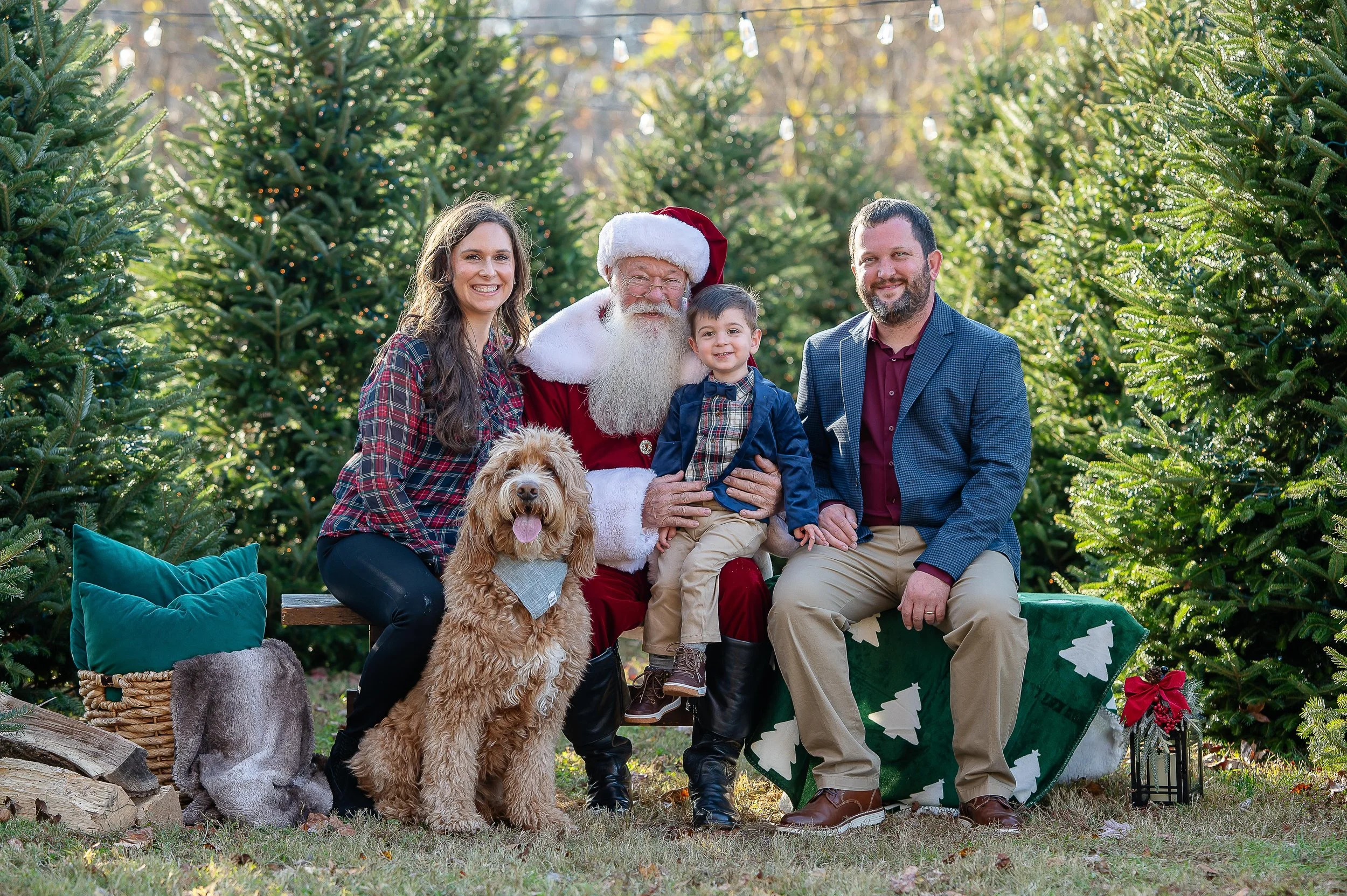 Christmas Tree Ad Photos -8.jpg