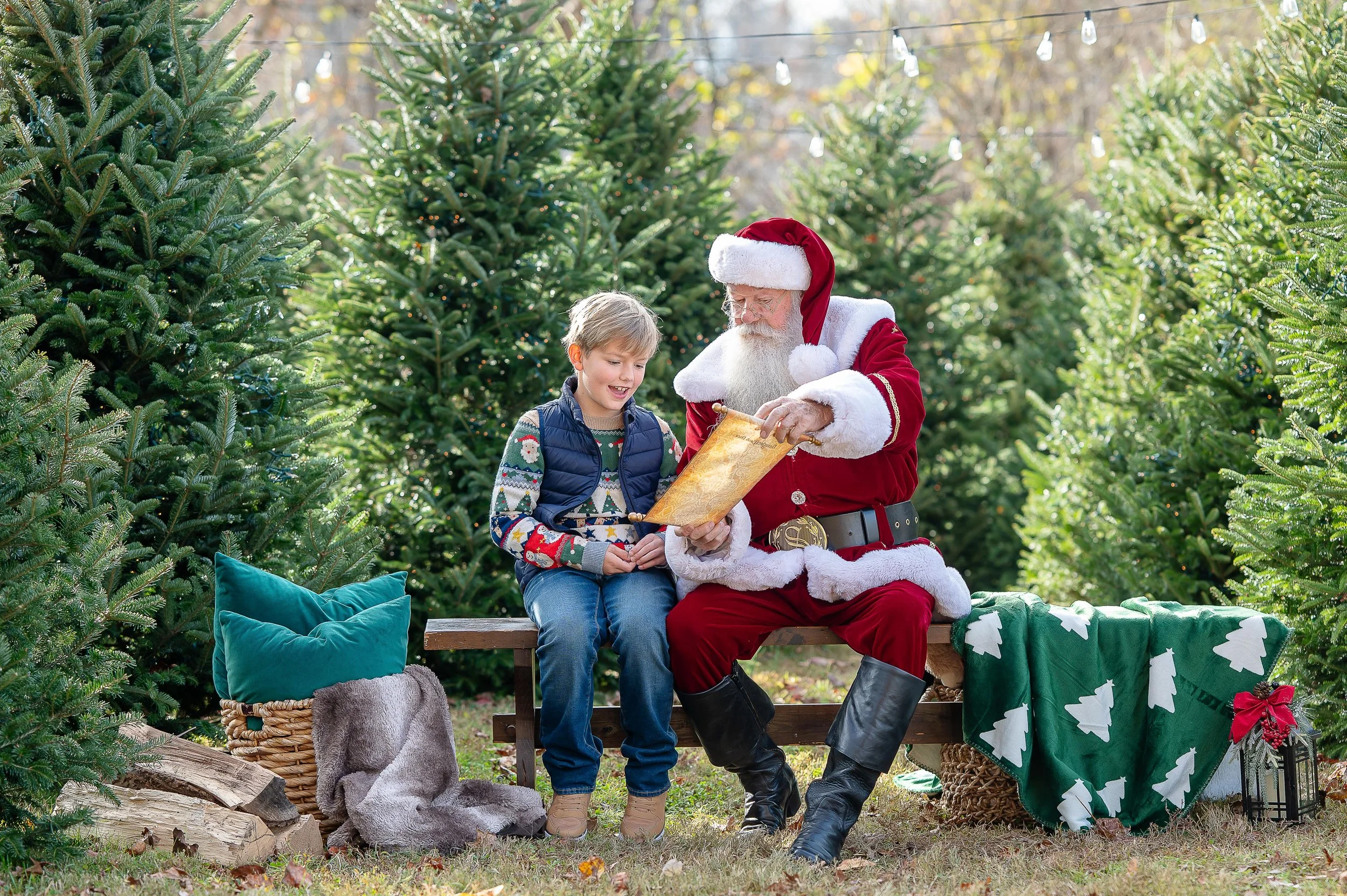 Christmas Tree Ad Photos -10.jpg