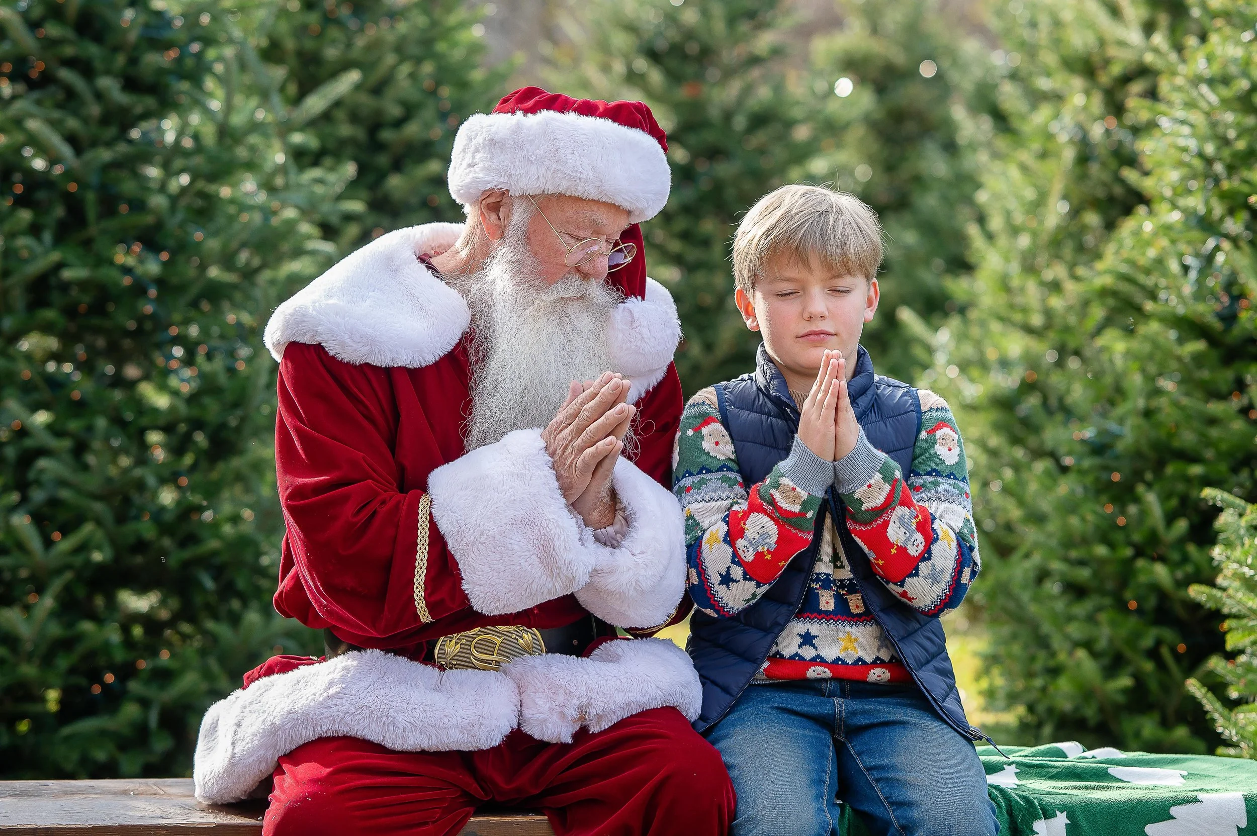 Christmas Tree Ad Photos -12.jpg