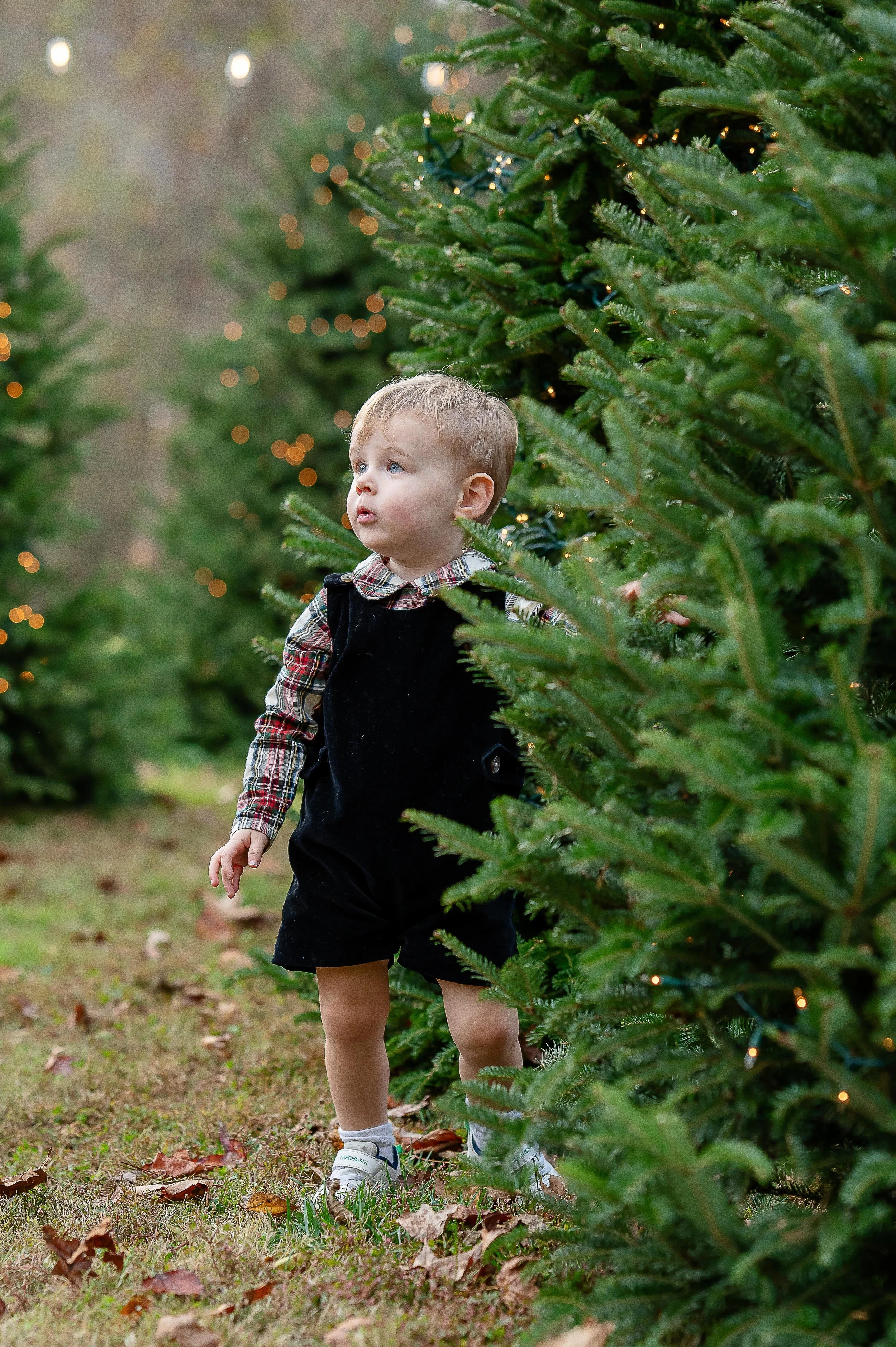 Christmas Tree Ad Photos -16.jpg
