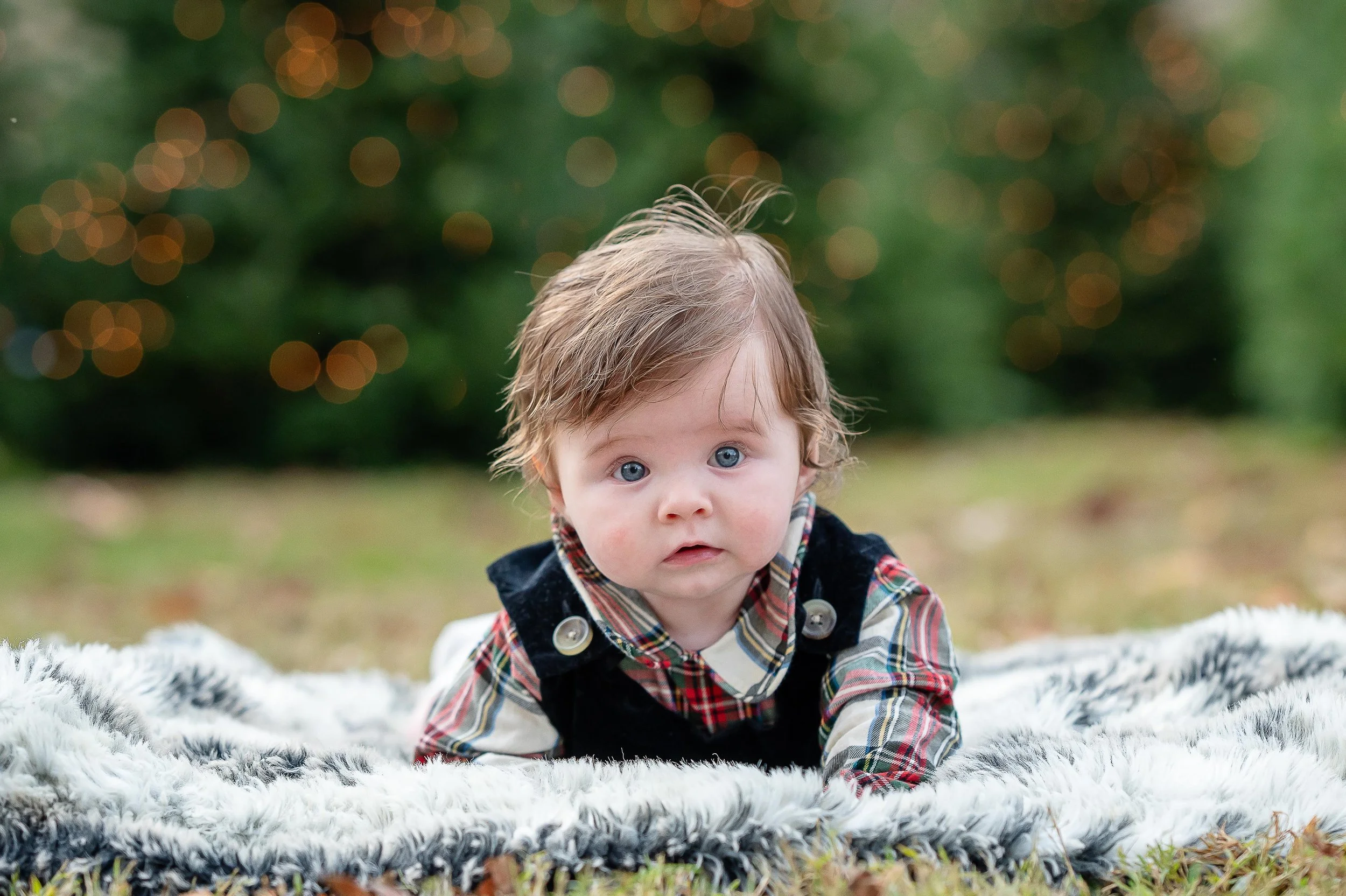Christmas Tree Ad Photos -17.jpg
