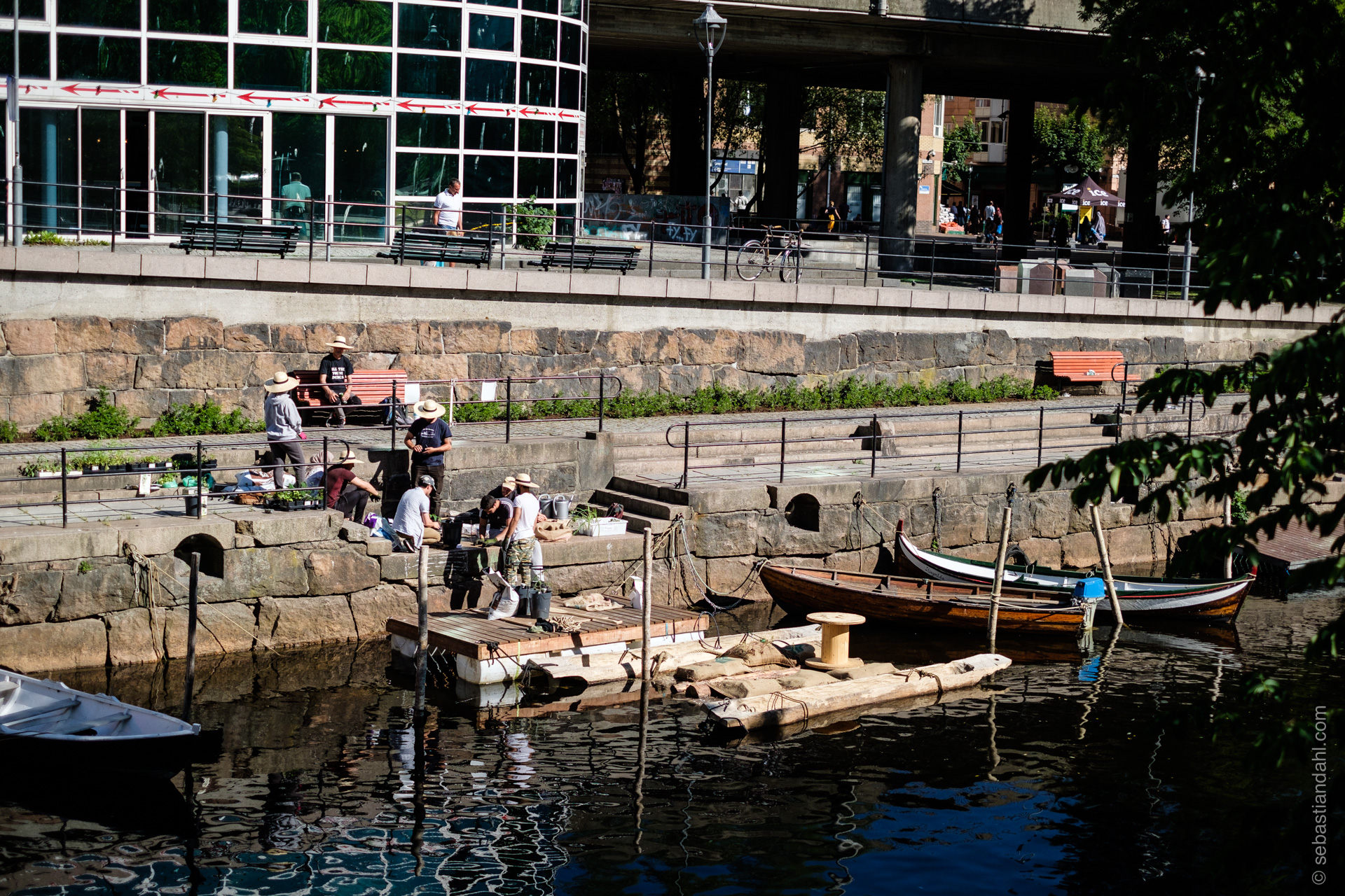 Flåta under utplantning, sett fra Vaterlandsparken. Foto: Sebastian Dahl