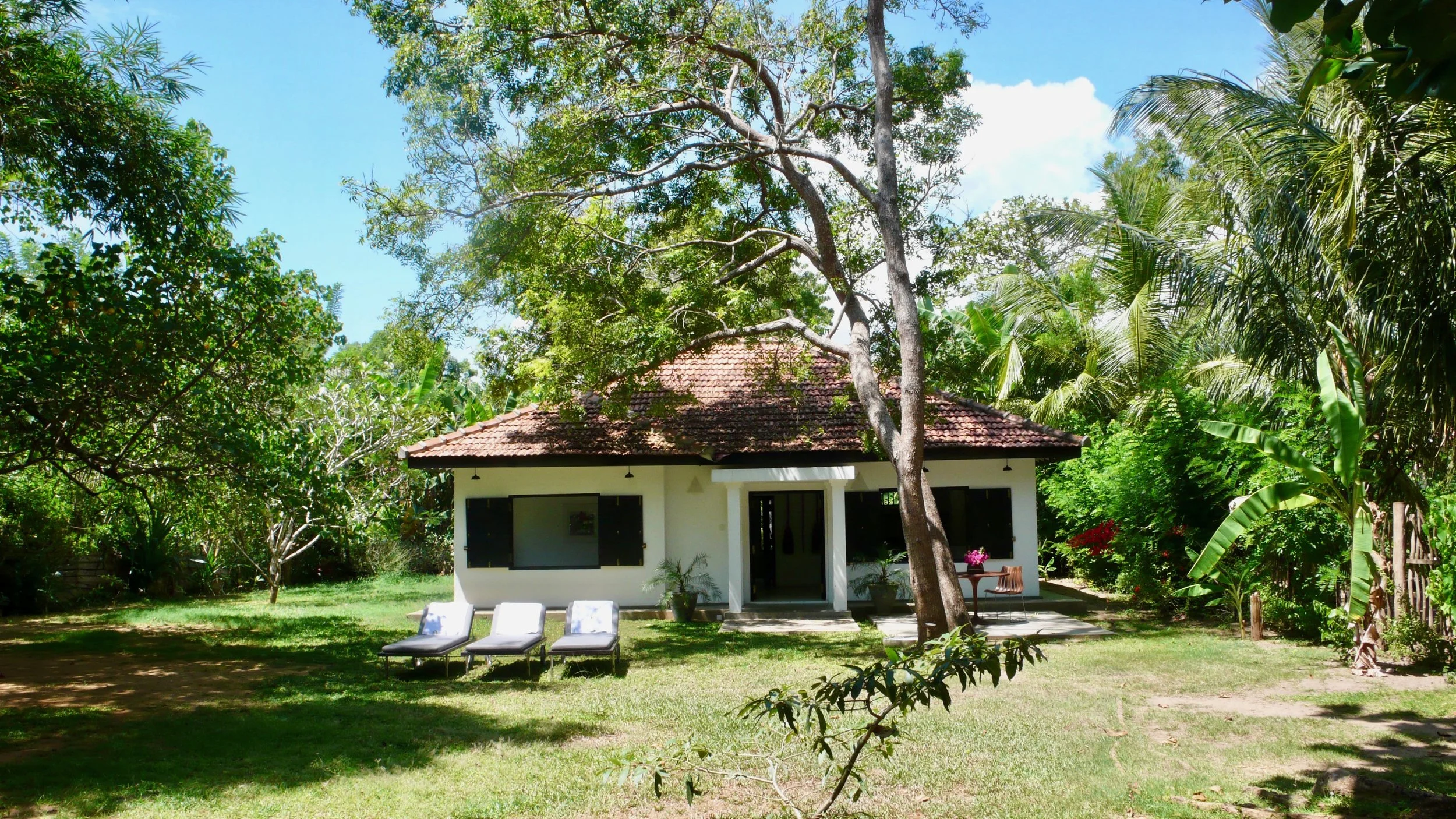 L1040044 2.jpg