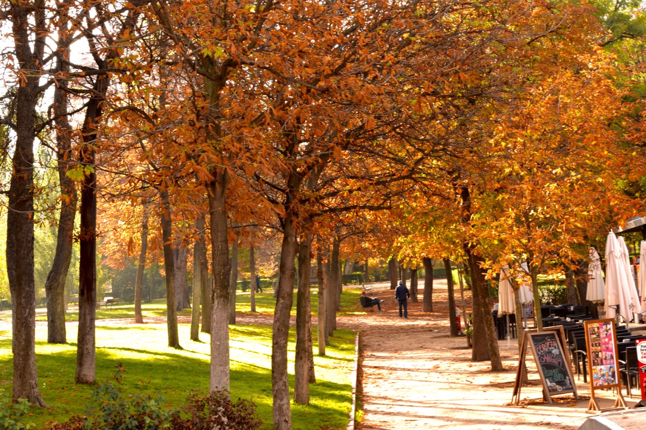 The fall colours in Retiro Park are stunning