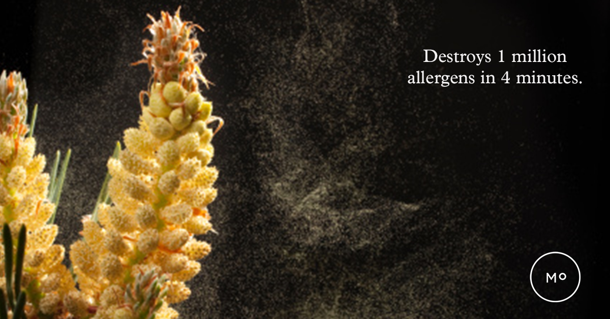 molekule_0014_Layer Comp 16.jpg