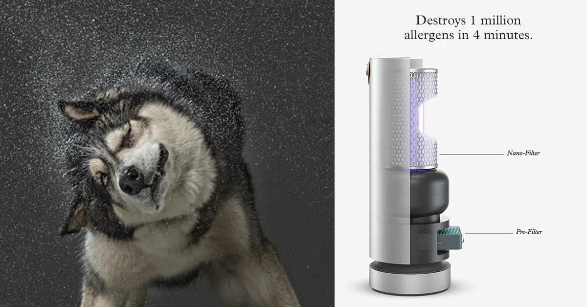 molekule_0013_Layer Comp 15.jpg