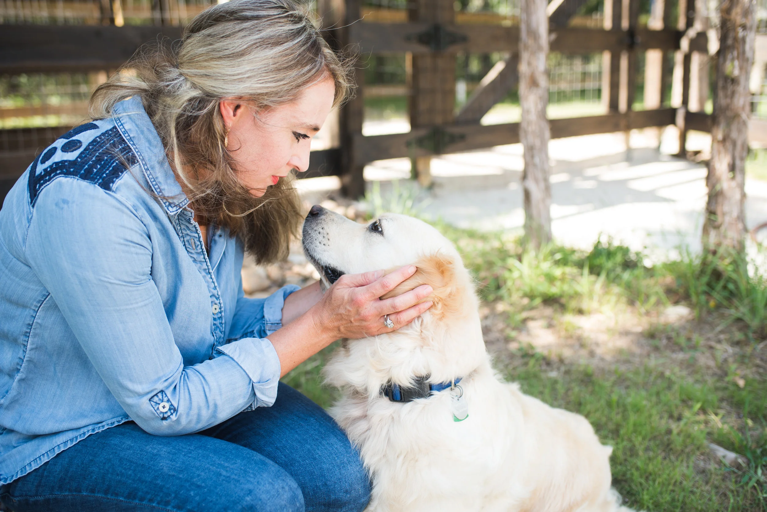 GoldenRetriever.southerngoldens