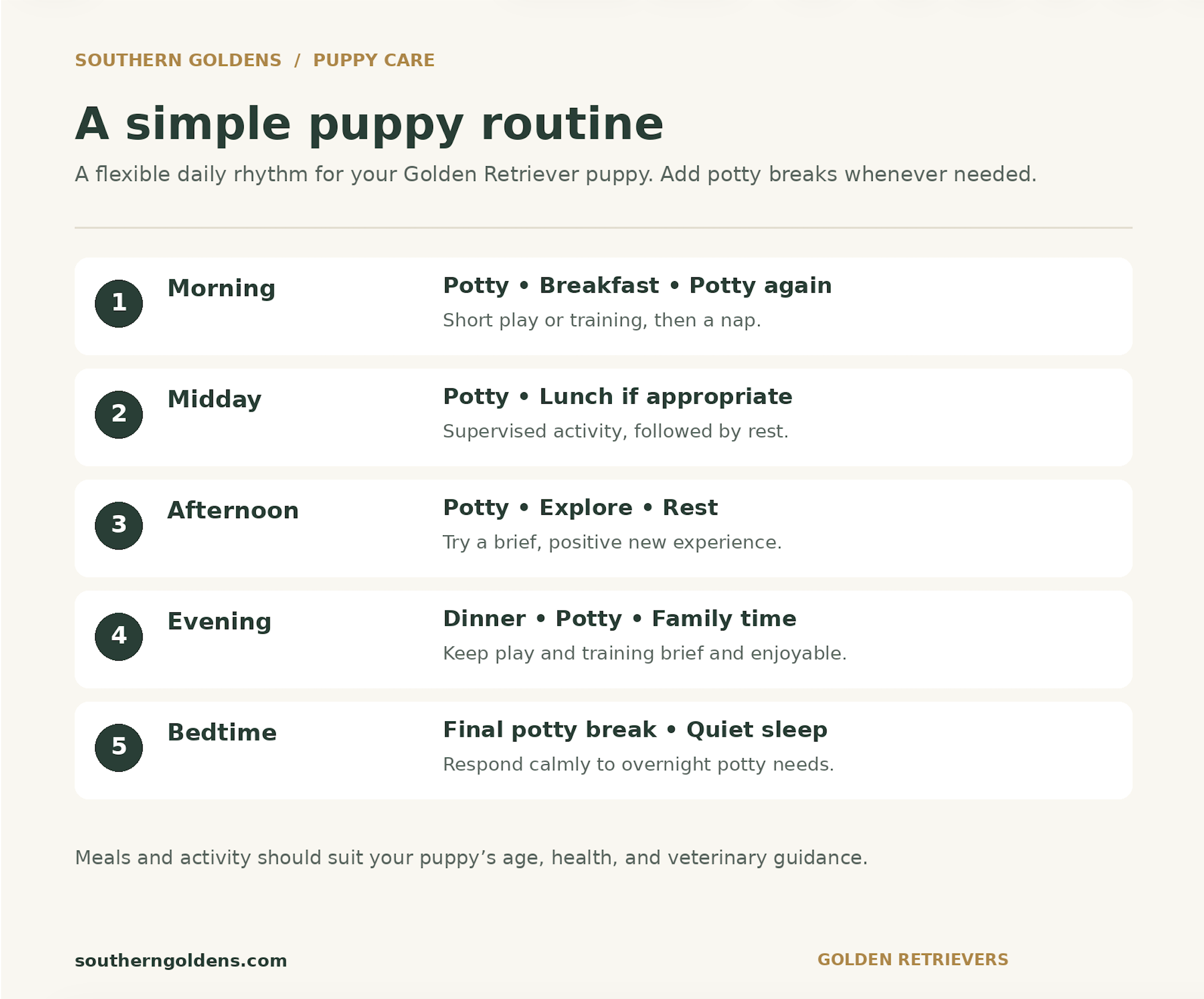 Infographic titled “A simple puppy routine” outlining a flexible daily schedule for a Golden Retriever puppy, including morning, midday, afternoon, evening, and bedtime activities.