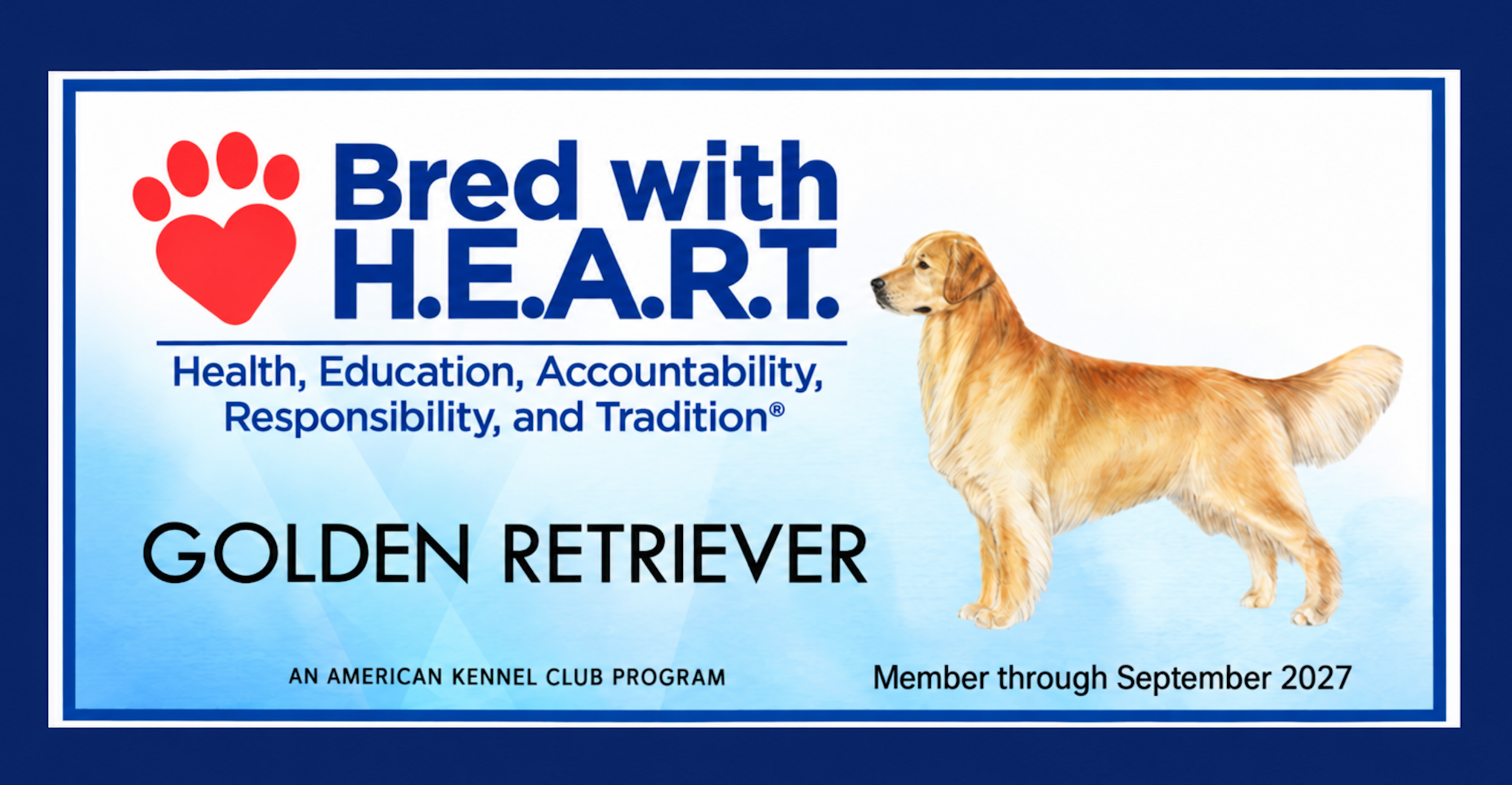 Golden Retriever Breed with H.E.A.R.T. American Kennel Club program membership certificate, valid through September 2027