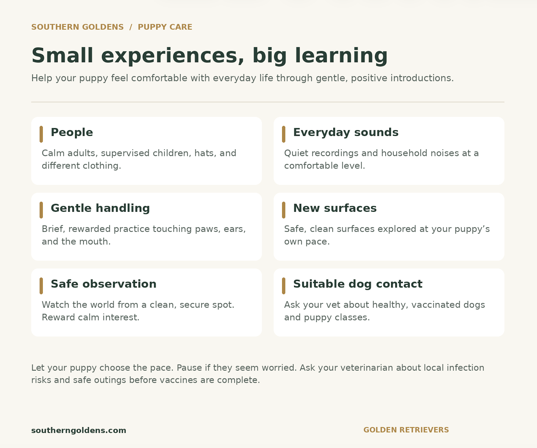 Southern Goldens puppy care infographic titled “Small experiences, big learning,” outlining gentle socialization with people, everyday sounds, handling, new surfaces, safe observation, and suitable dog contact.