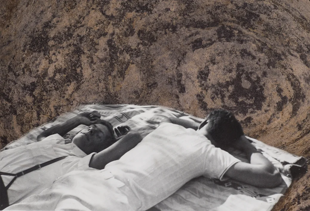 Bronzite. From the series "MATER".