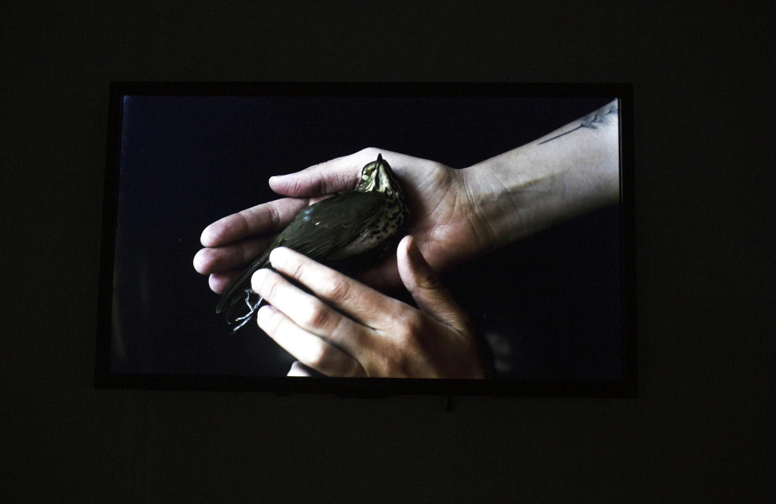Photographs from installation at Gallery 400, Now & There , March 2019