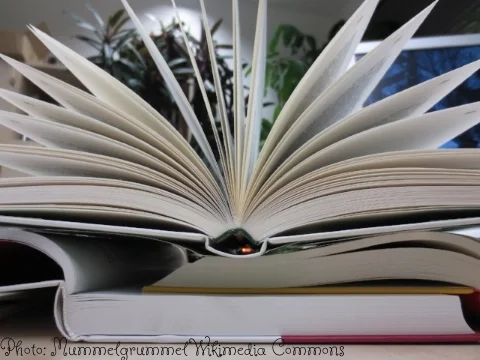 Publishing - A System In Flux