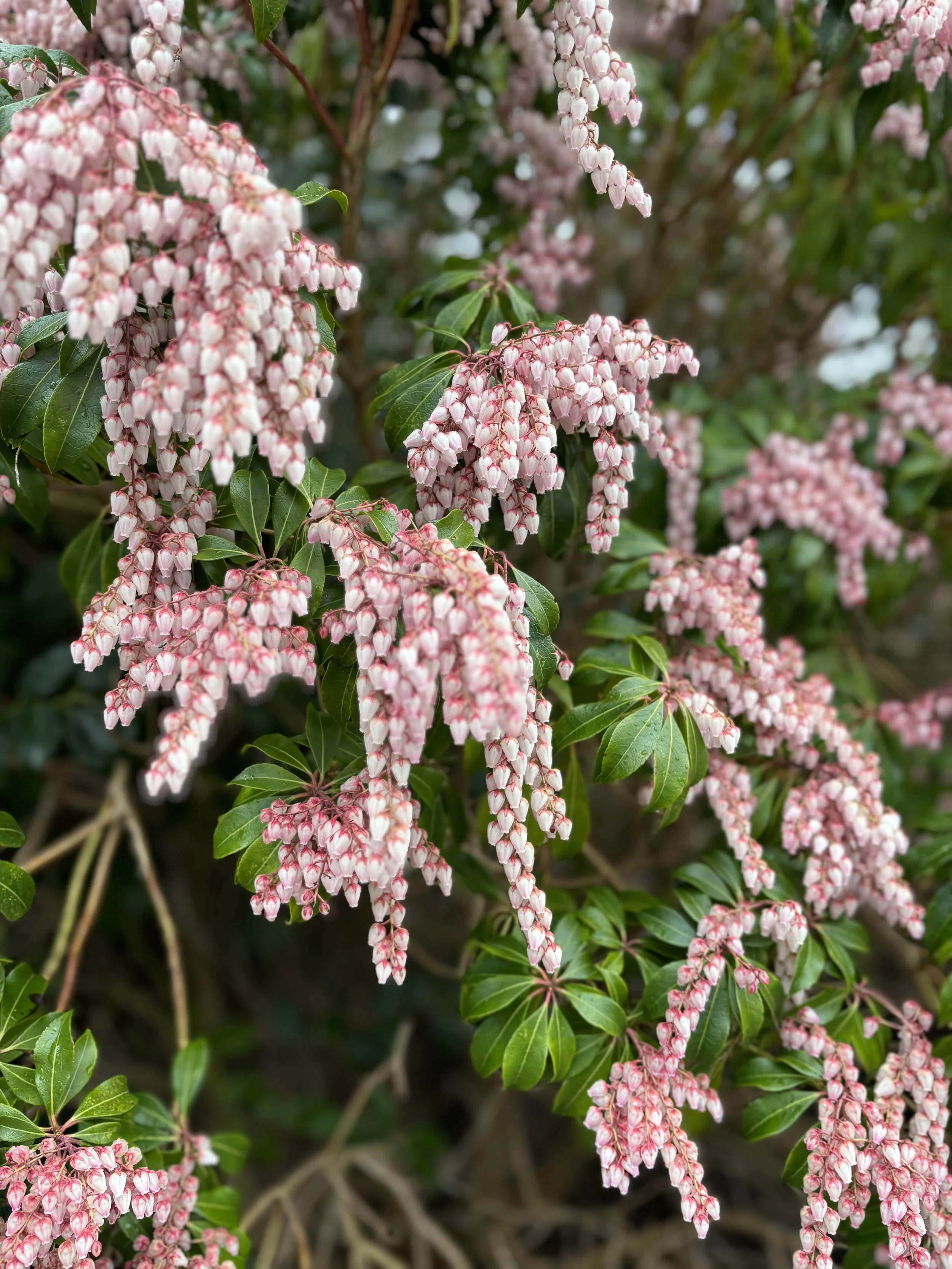 From the Vault:  Eight Tips for Revising Your Poetry