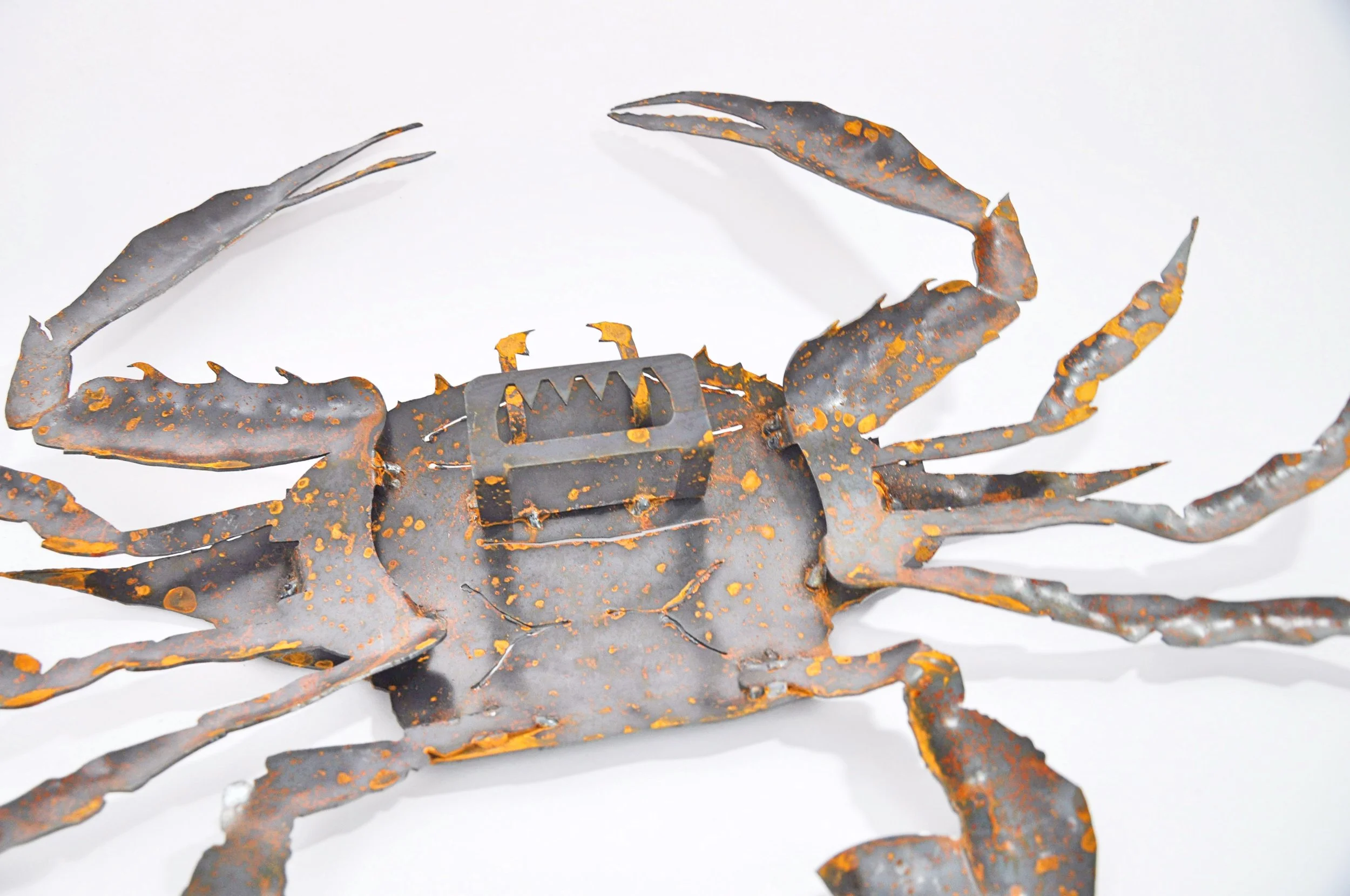 crabback.jpg