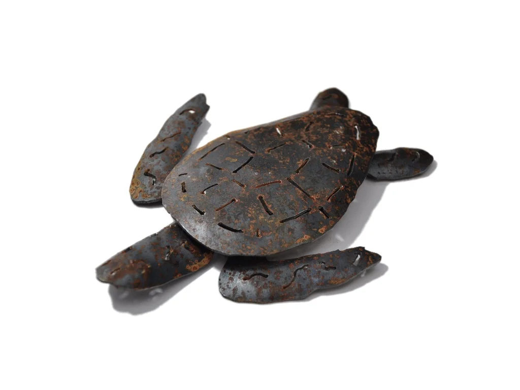 babyseaturtle1.jpg