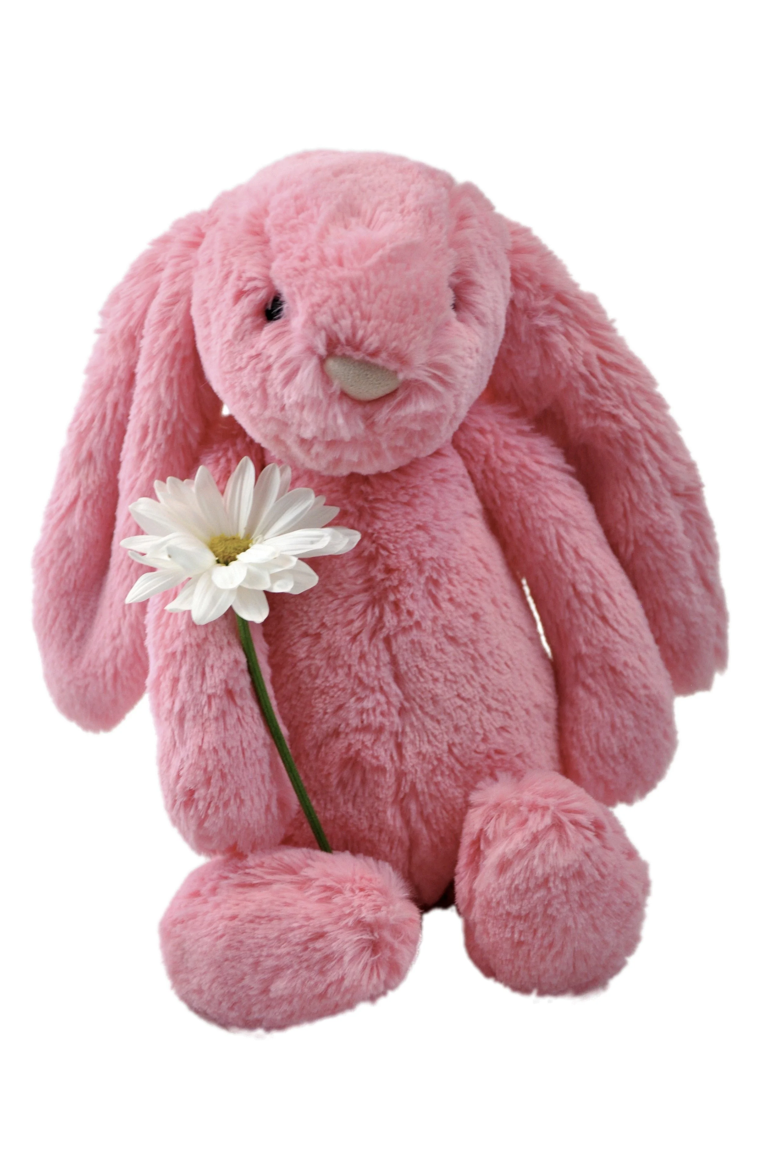 DSC_bunny_cut.jpg