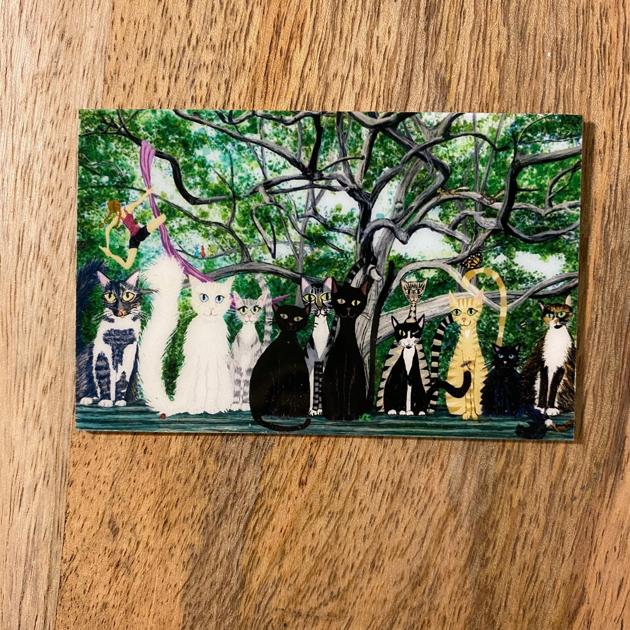 7950702B-3623-43FA-B4AA-5A56A95348C3