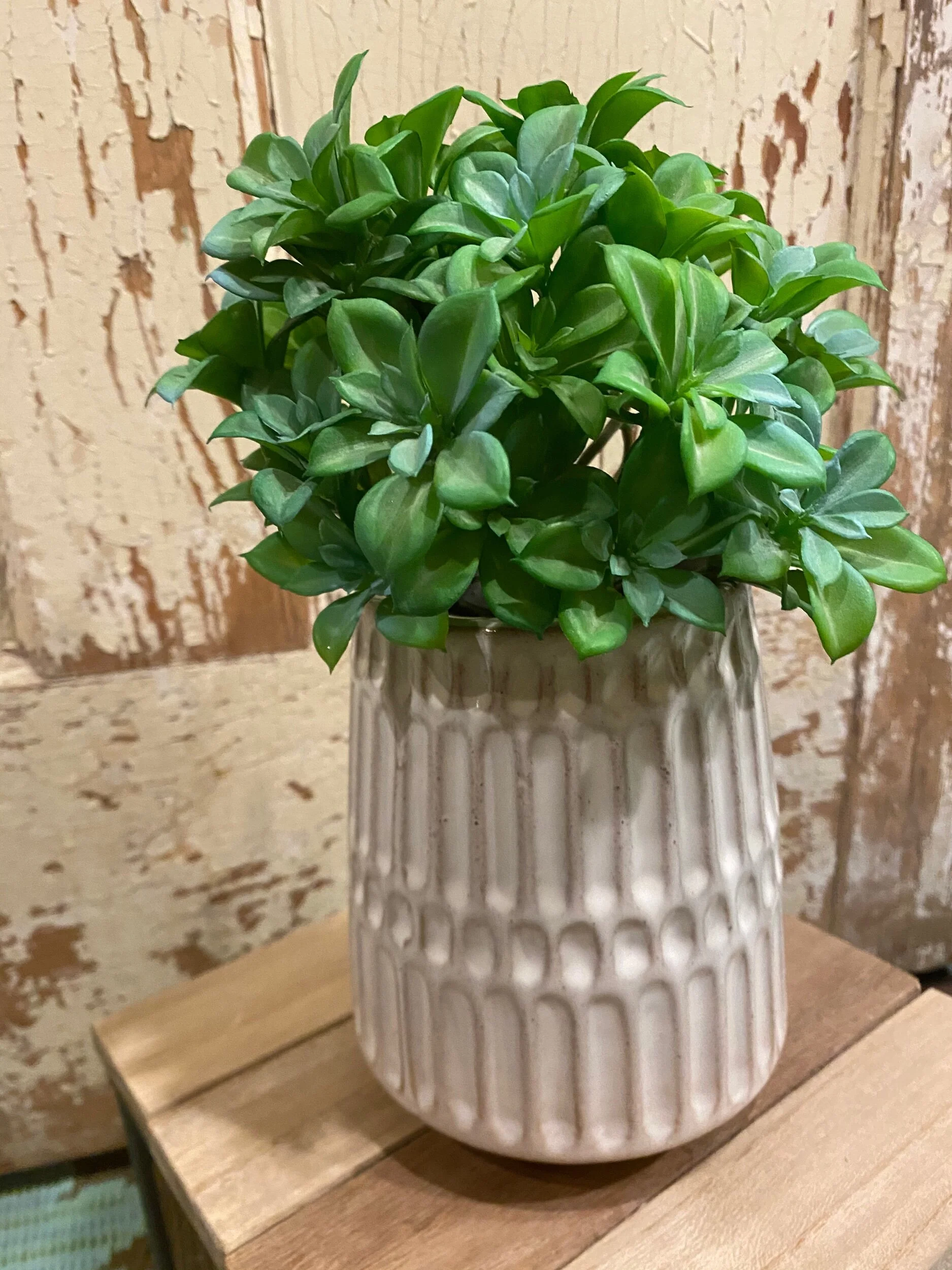 628A8F05-182E-47D2-A52E-BBA4A316EB50