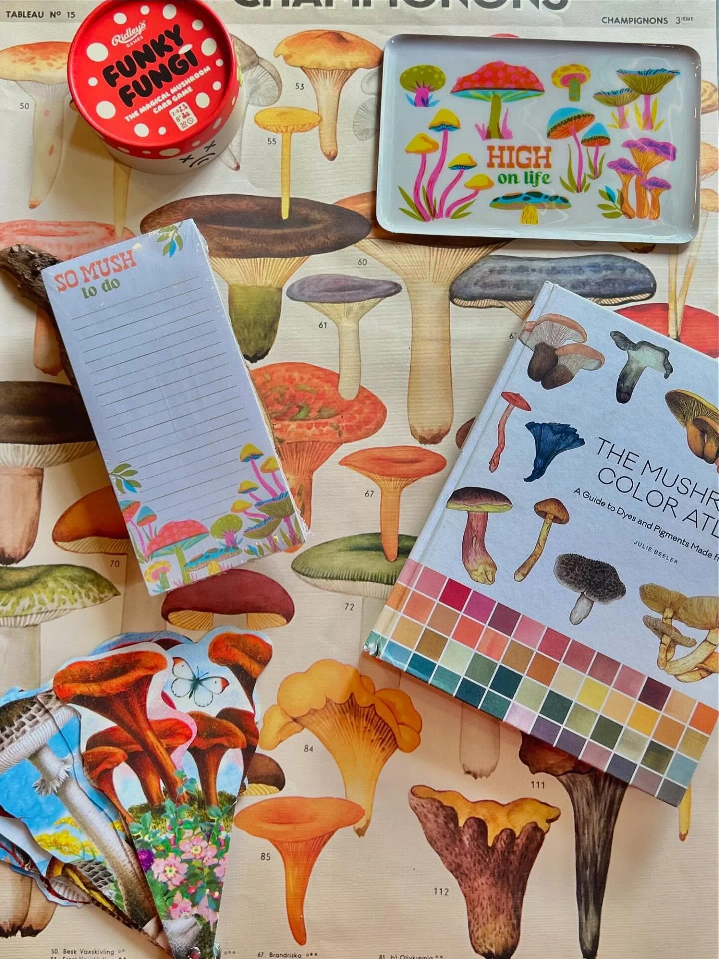 The mushroom edit 🍄 We&rsquo;ve got the cutest goodies for all the mushroom enthusiasts out there!!! #chs #cutestore #mushroom #localbuisness #shoplocal
