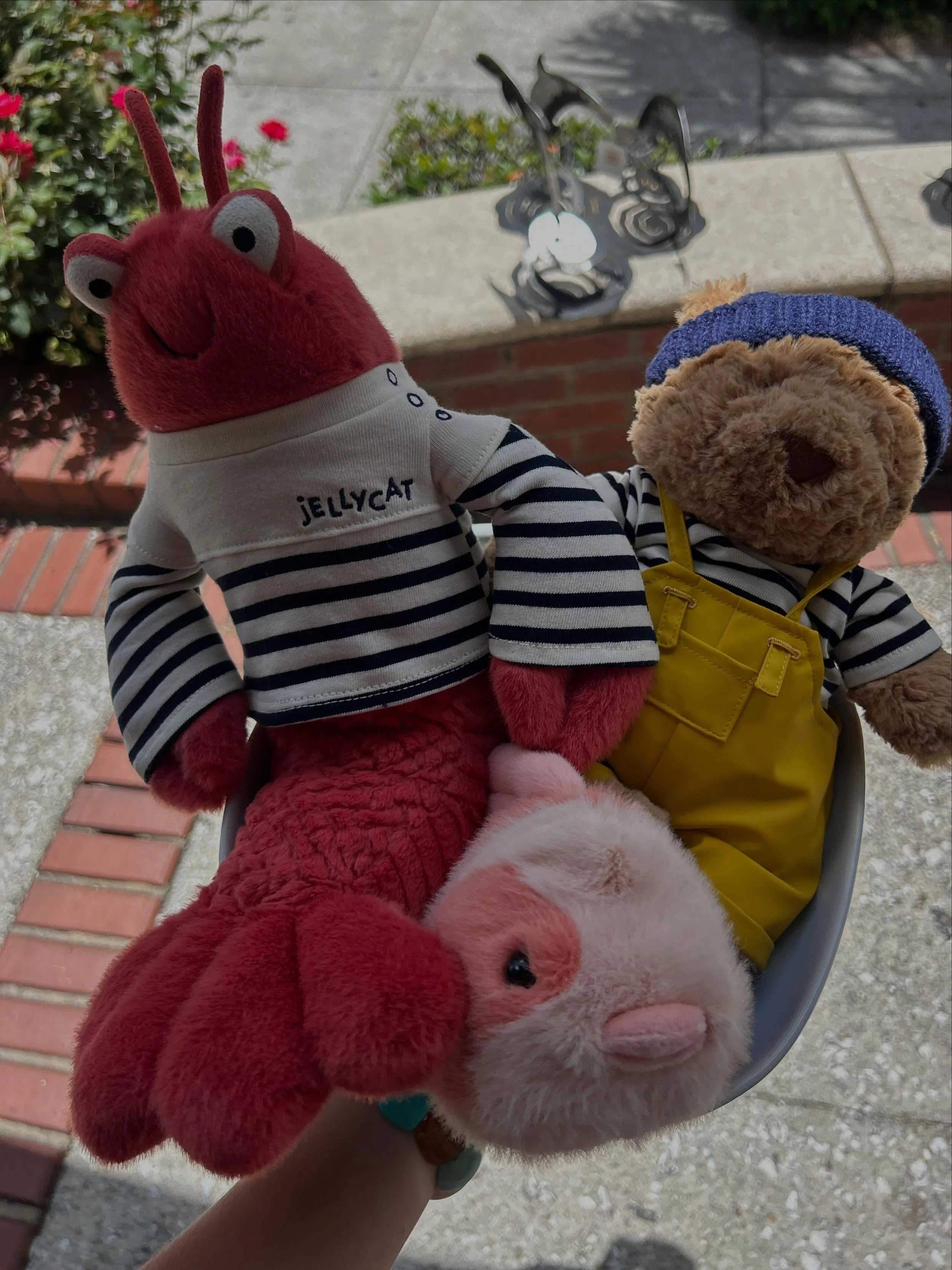The new @jellycat summer collection just dropped!!! Come shop and check out some of our new jellycat friends! 

#jellycat #charlestonsc #cofc #chs