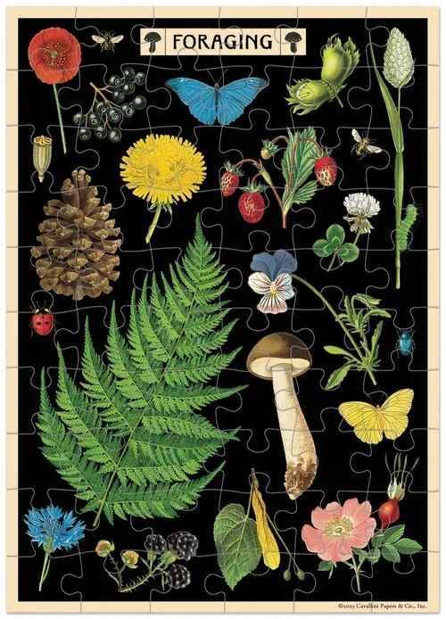 PZLGC_FORAGE_1.webp