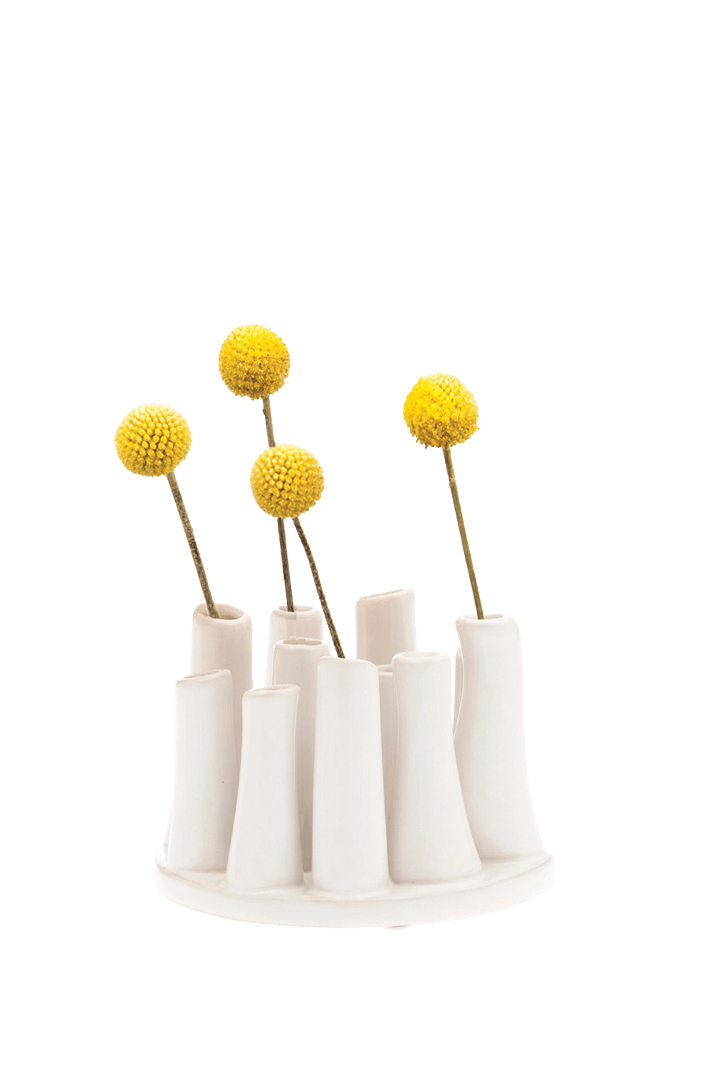 3.8-pooley-white-1.png