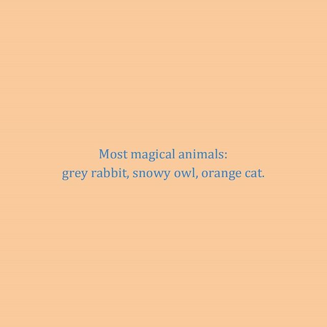 age 9 | 2000
re: animal magic
.
.
.
.
#orangecat #greyrabbit #snowyowl #magic #witch #wizard #magical #harrypotter #diary #diaries #deardiary #notes #importantnote #animals #hufflepuff #journal #journalling #quotes #quotestoliveby #witchcraft #witche