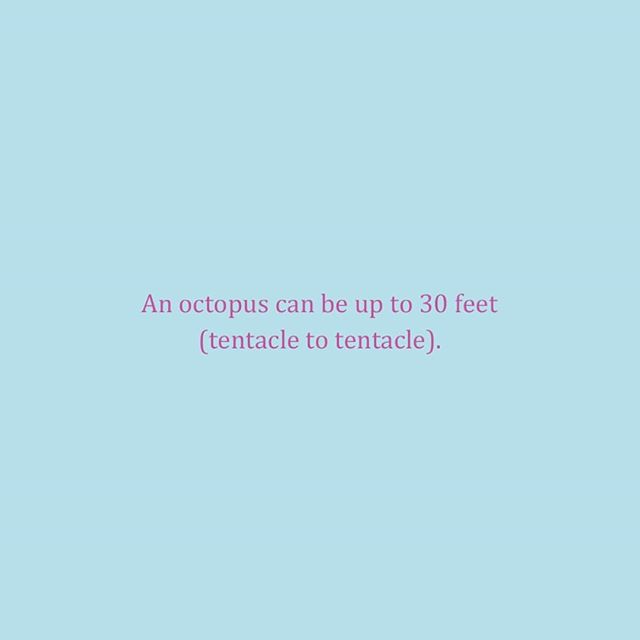 age 11 | 2002
re: octopus facts
.
.
.
.
#facts #octopus #fieldtrip #aquarium #notes #diary #deardiary #age11 #11yearsold #octopi #truth #journal #journaling #kids #childhood #ocean #sea #reallife #coolfacts #coolstuff #school #beingakid #words #quote