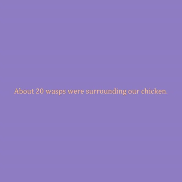 age 10 | 2001
re: dinner
.
.
.
.
#chicken #wasps #wasp #dinner #picnic #camping #campingproblems #picnicproblems #bbqchicken #bbq #diary #deardiary #diaries #journal #journaling #age10 #kidwriting #childhood #holiday #vacation #battleground #fights #