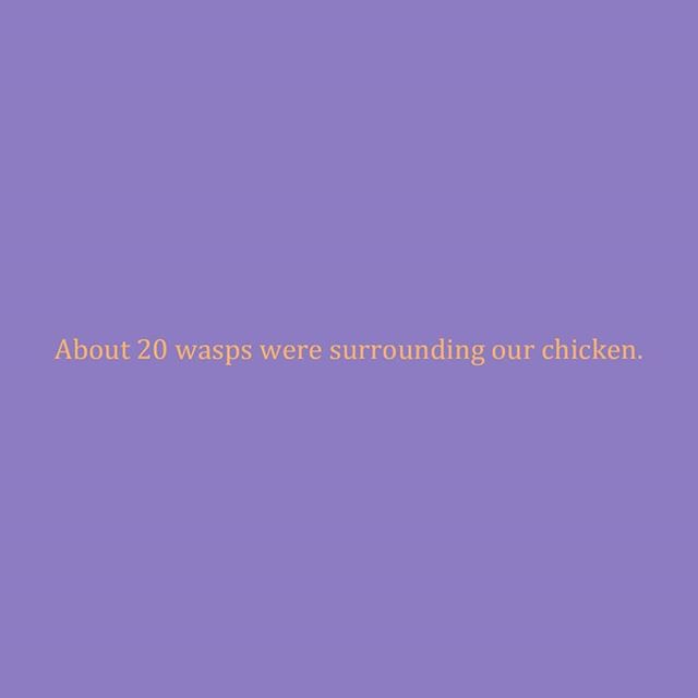 age 10 | 2001
re: dinner
.
.
.
.
#chicken #wasps #wasp #dinner #picnic #camping #campingproblems #picnicproblems #bbqchicken #bbq #diary #deardiary #diaries #journal #journaling #age10 #kidwriting #childhood #holiday #vacation #battleground #fights #