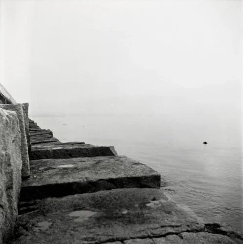 Yashica-D Photo Series, 2015