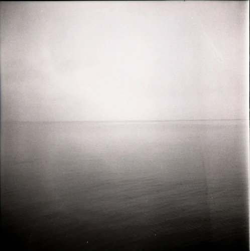 Yashica-D Photo Series, 2015